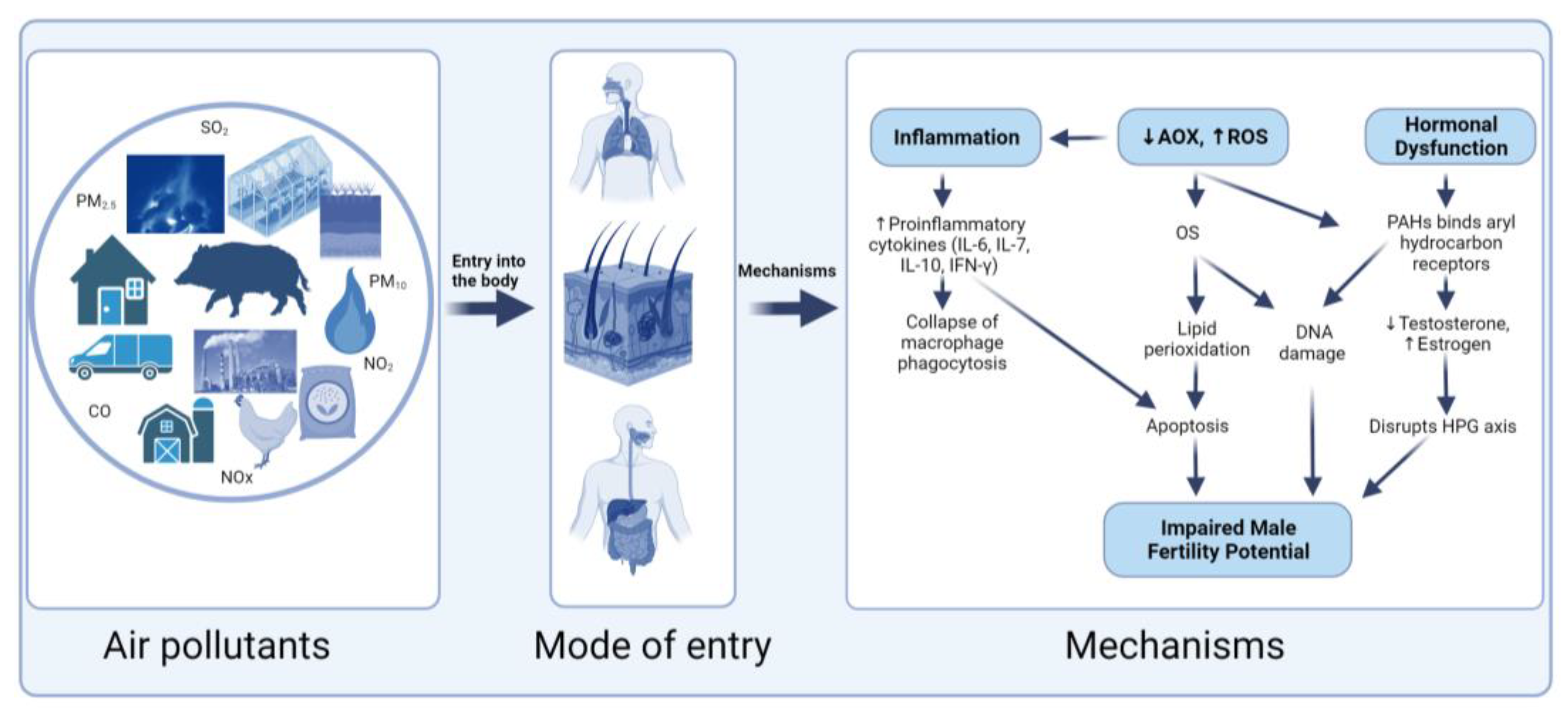 Antioxidants 13 00064 g004