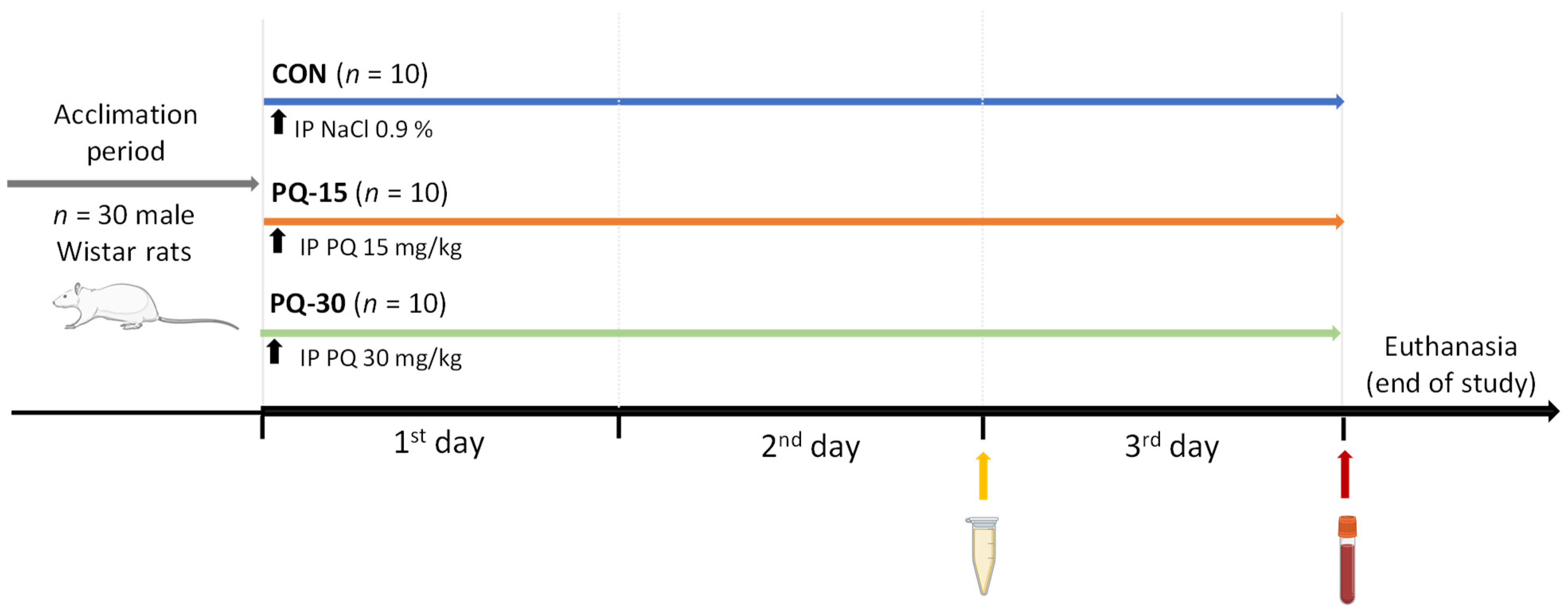 Antioxidants 13 00067 g001