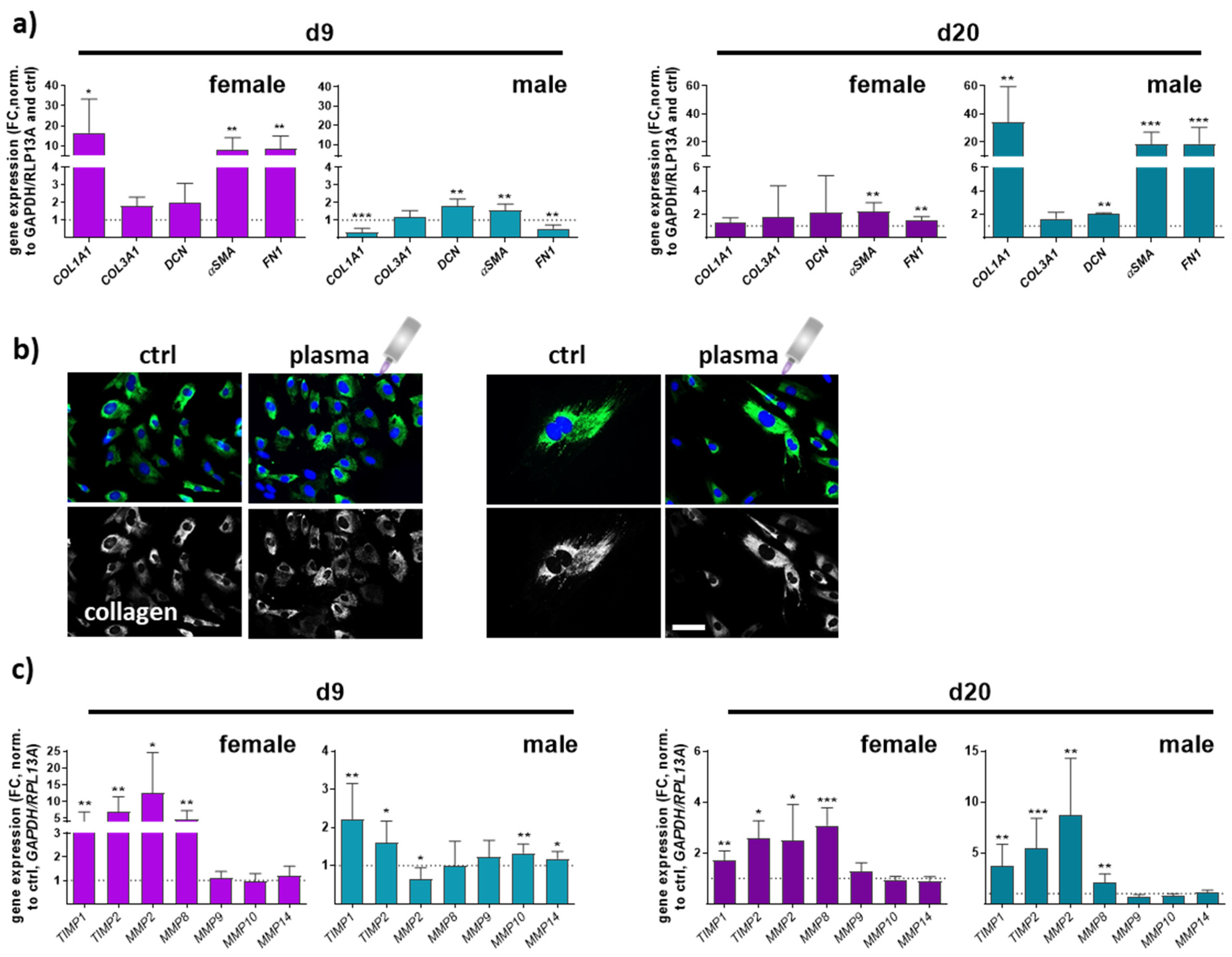 Antioxidants 13 00068 g005