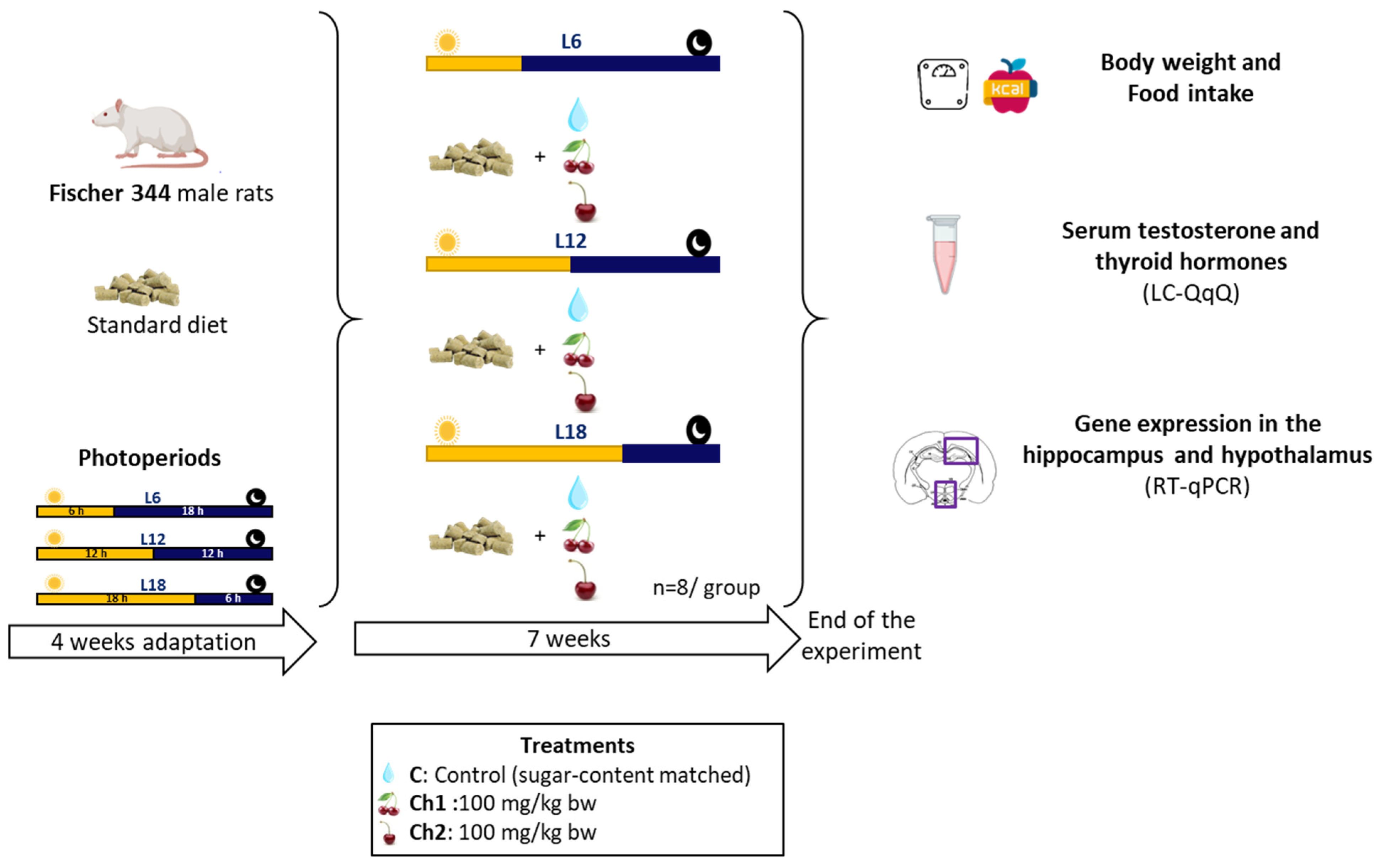 Antioxidants 13 00072 g001