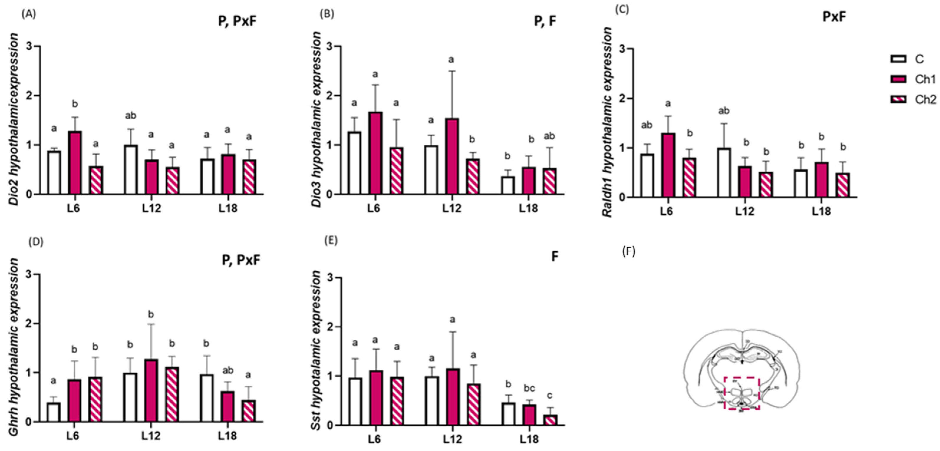 Antioxidants 13 00072 g002