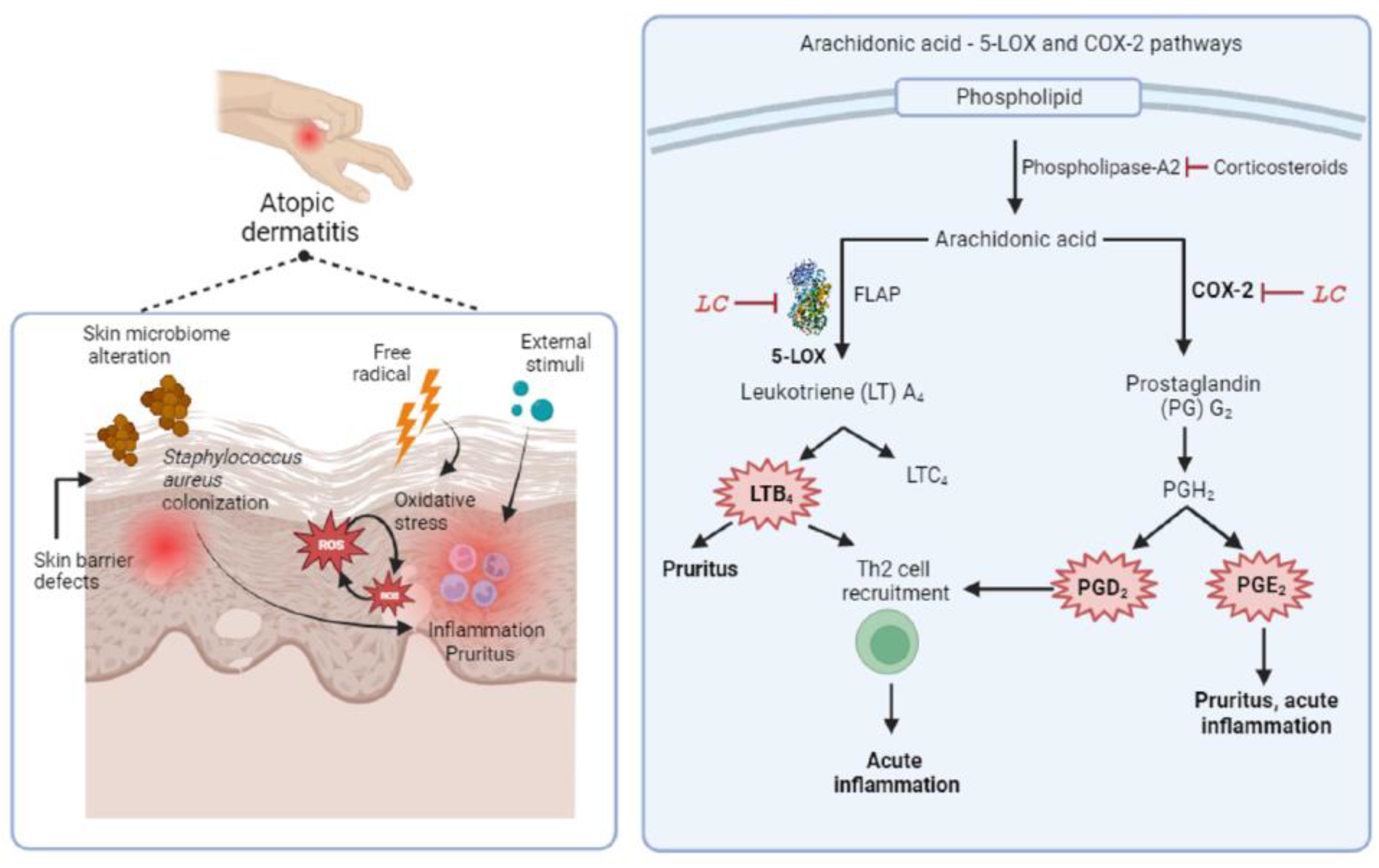 Antioxidants 13 00074 g001
