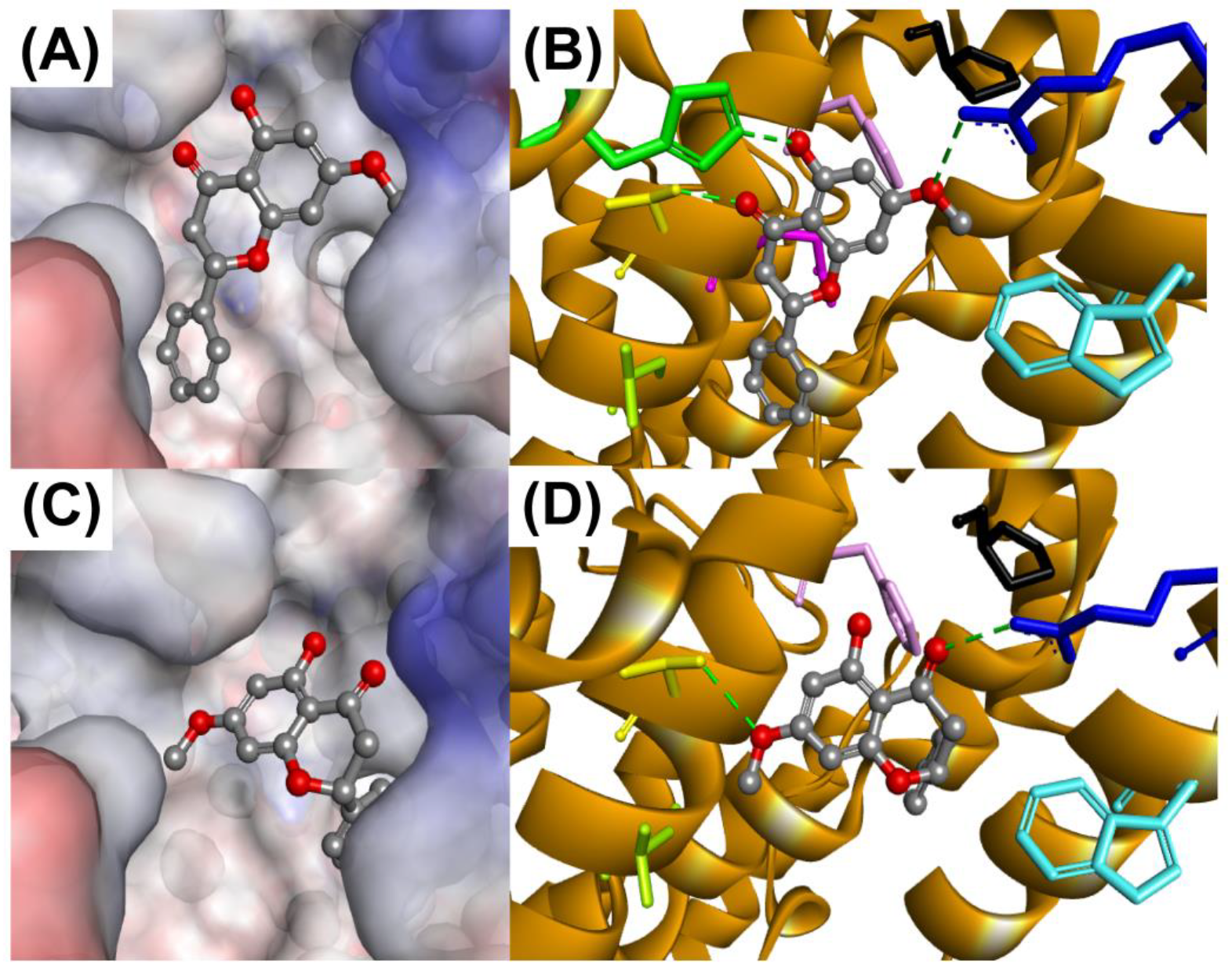 Antioxidants 13 00074 g006