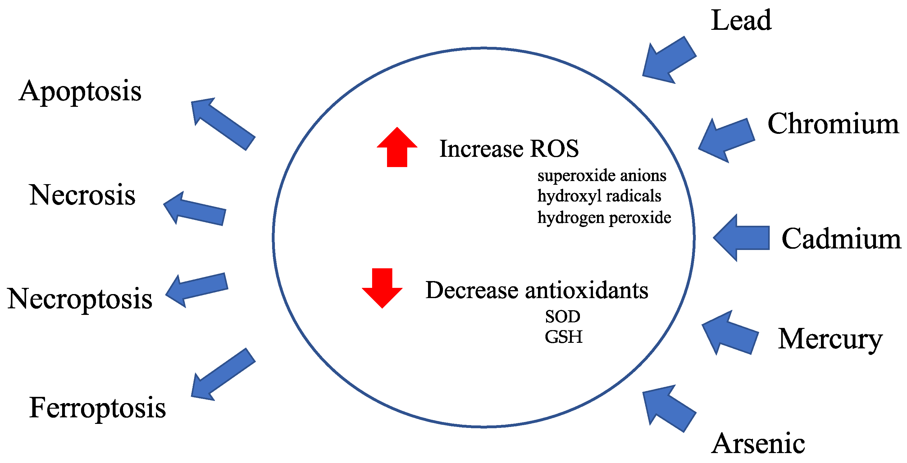Antioxidants 13 00076 g001 Antioxidants 13 00076 g001