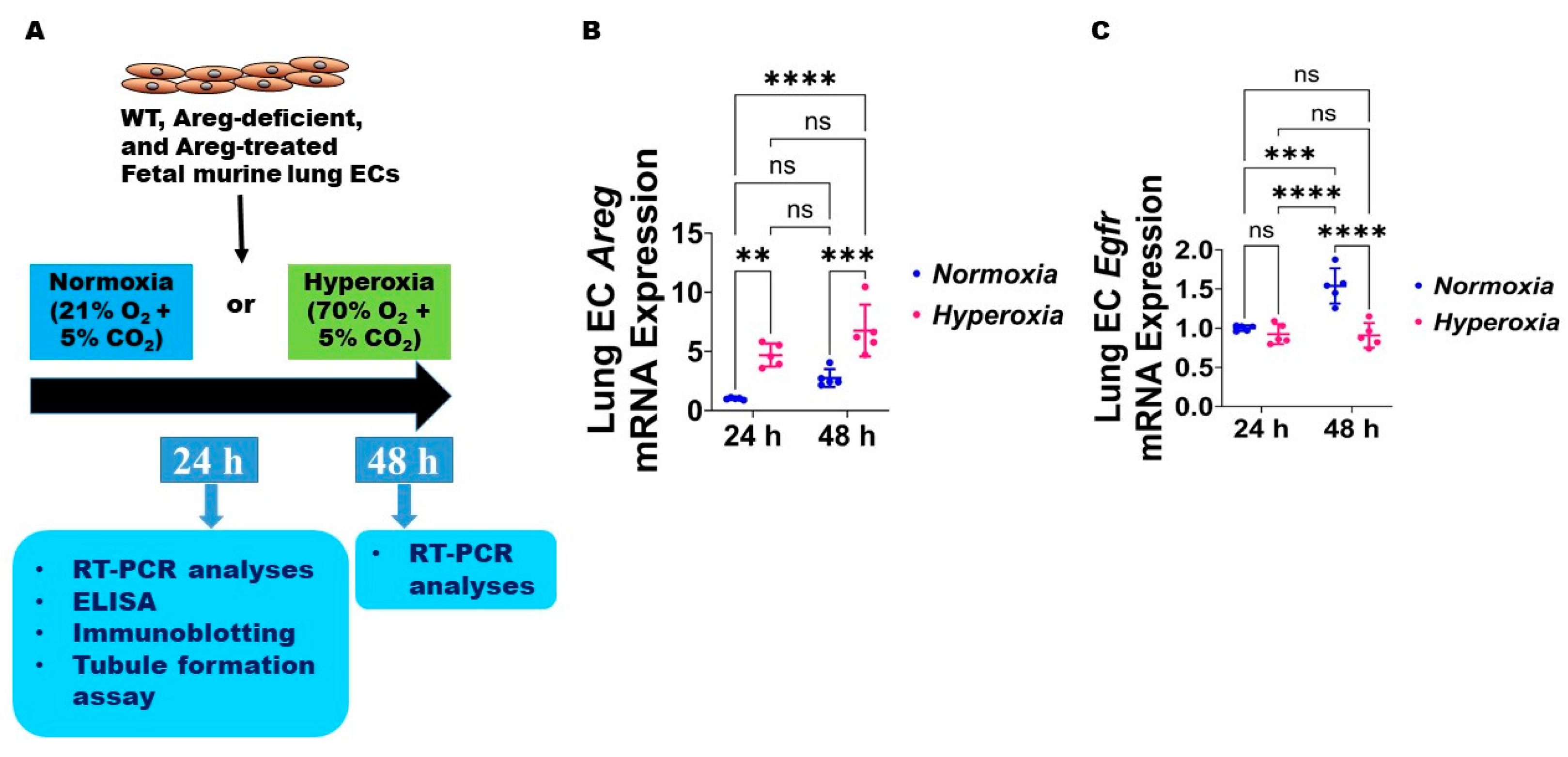 Antioxidants 13 00078 g003 Antioxidants 13 00078 g003