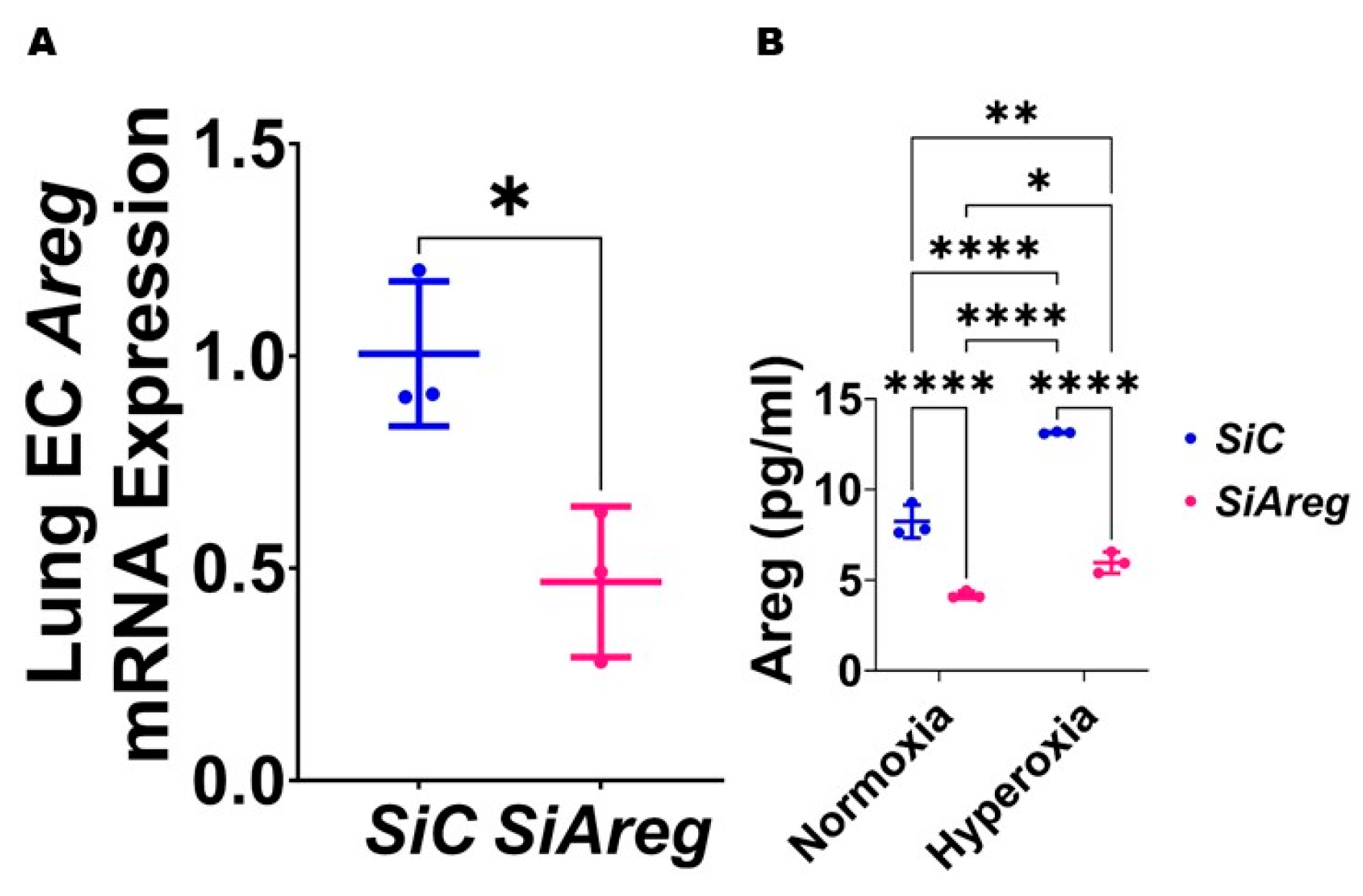 Antioxidants 13 00078 g004 Antioxidants 13 00078 g004