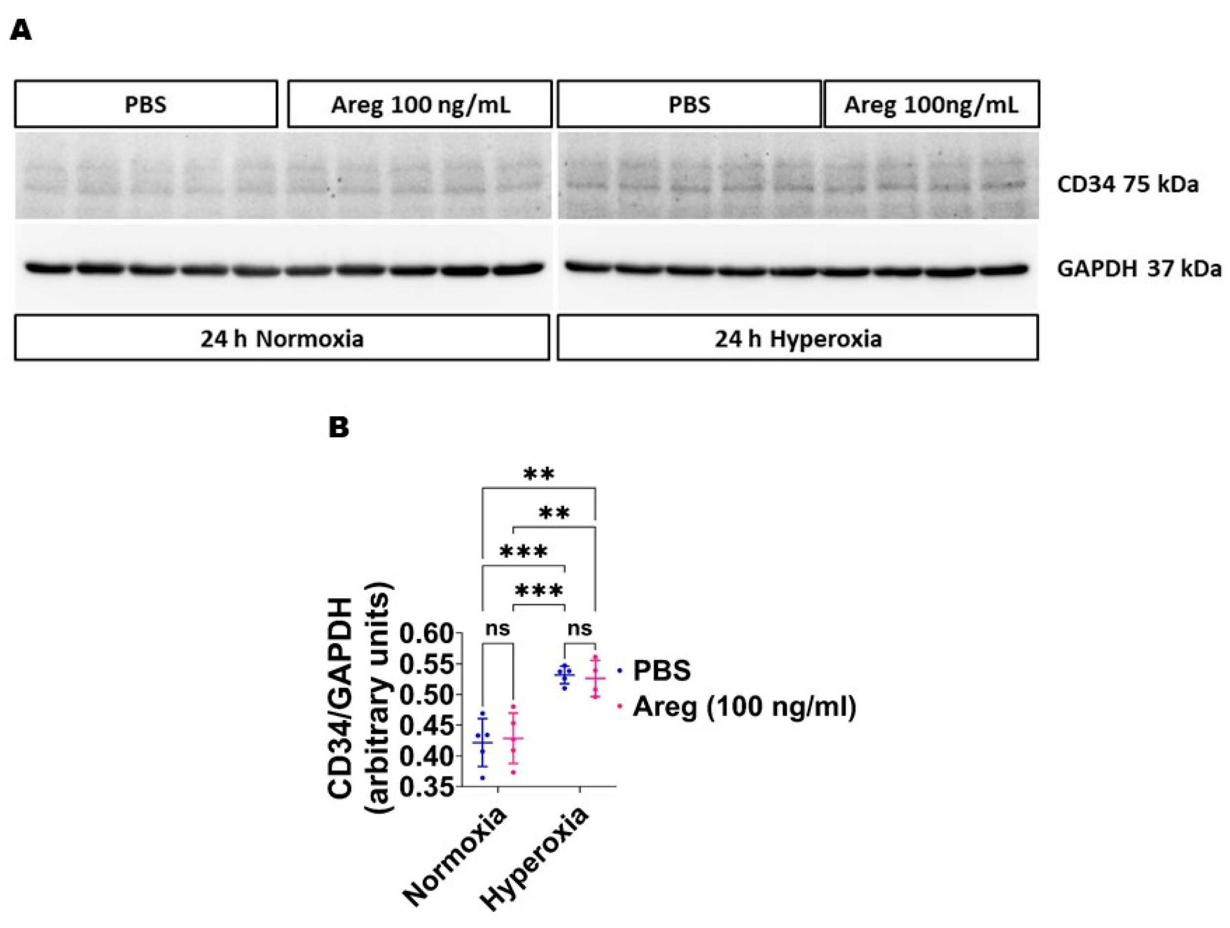 Antioxidants 13 00078 g009 Antioxidants 13 00078 g009