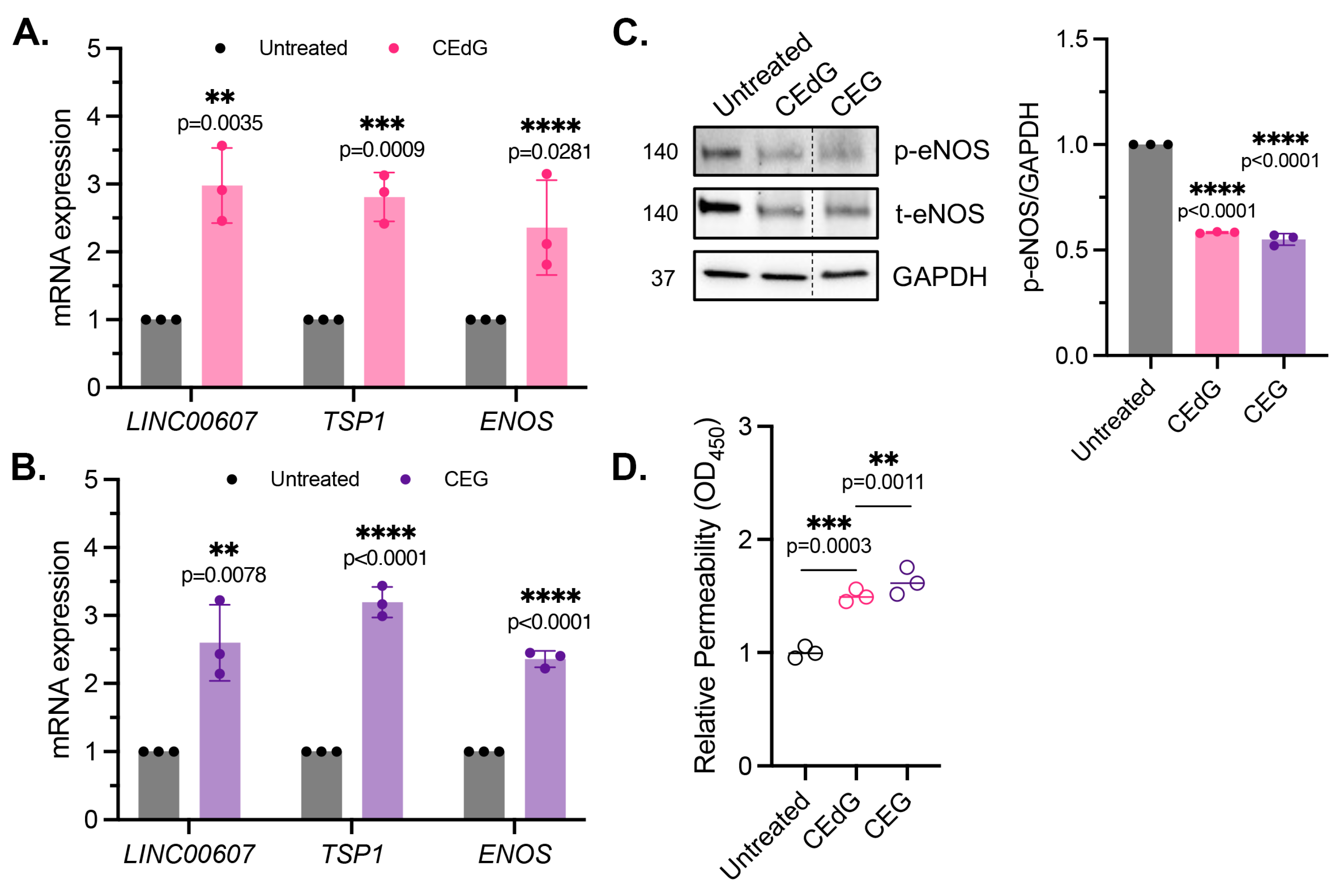 Antioxidants 13 00085 g004