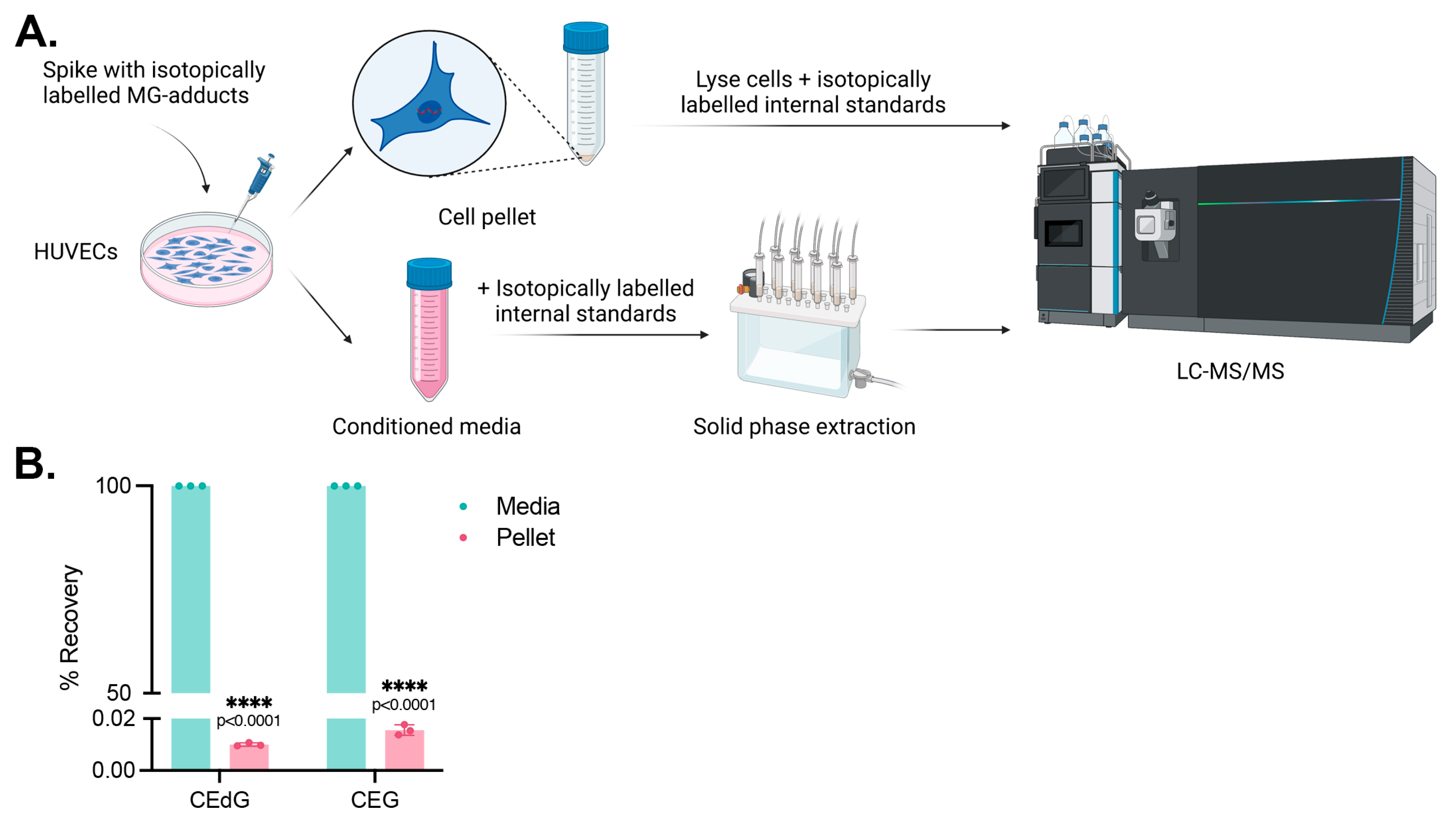 Antioxidants 13 00085 g005