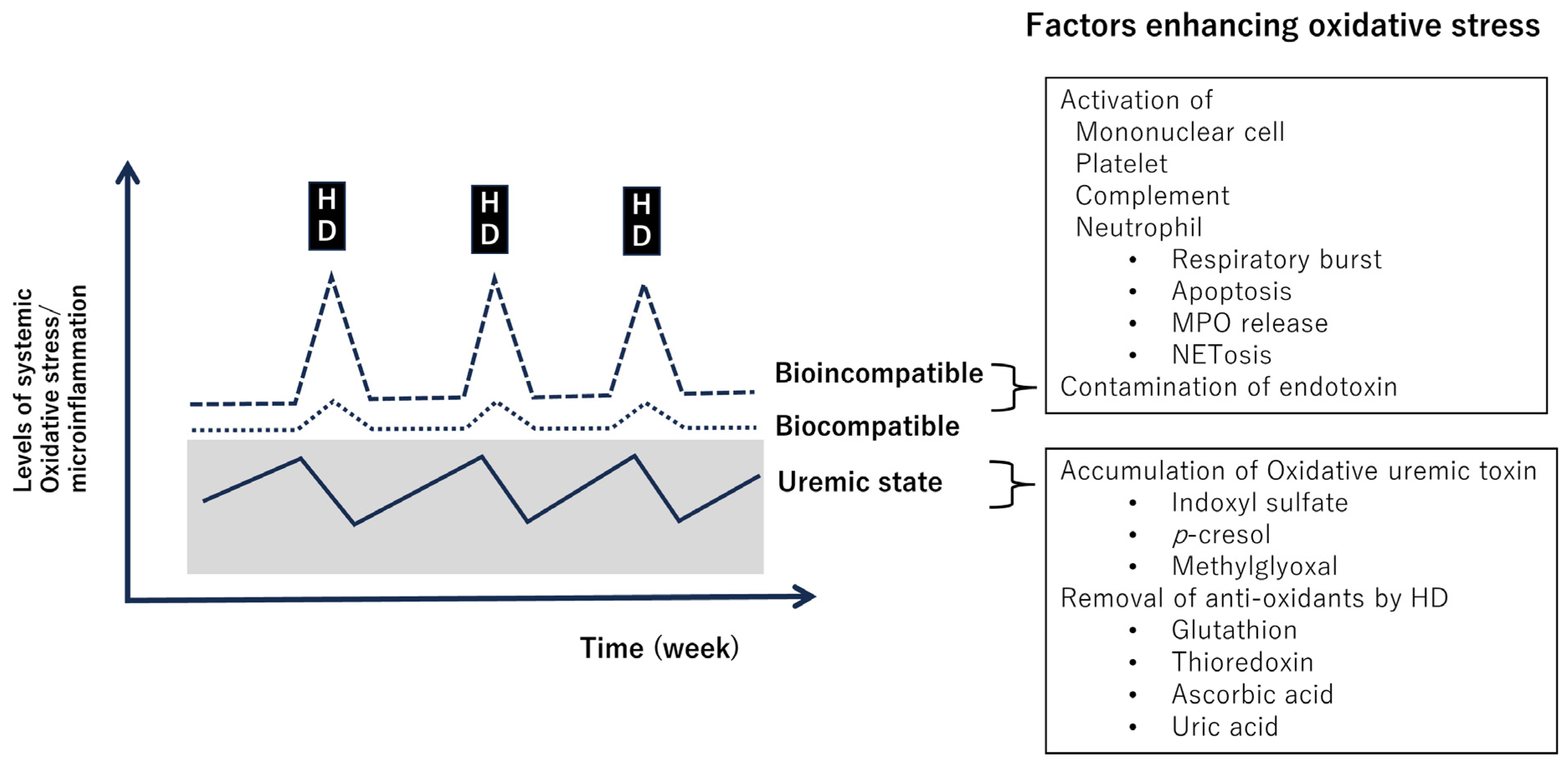 Antioxidants 13 00090 g003
