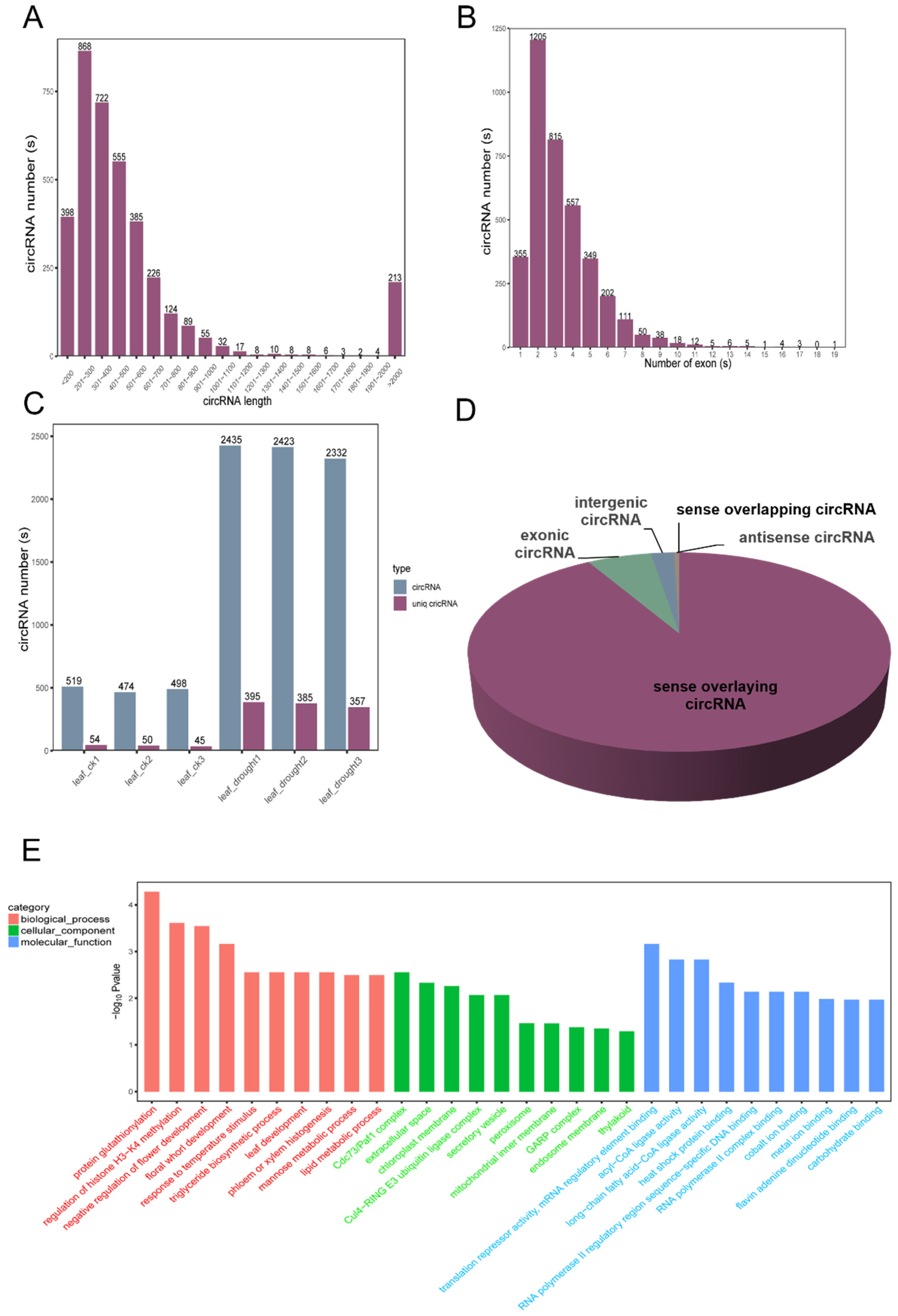 Antioxidants | Free Full-Text | Whole-Transcriptome Sequencing Reveals ...