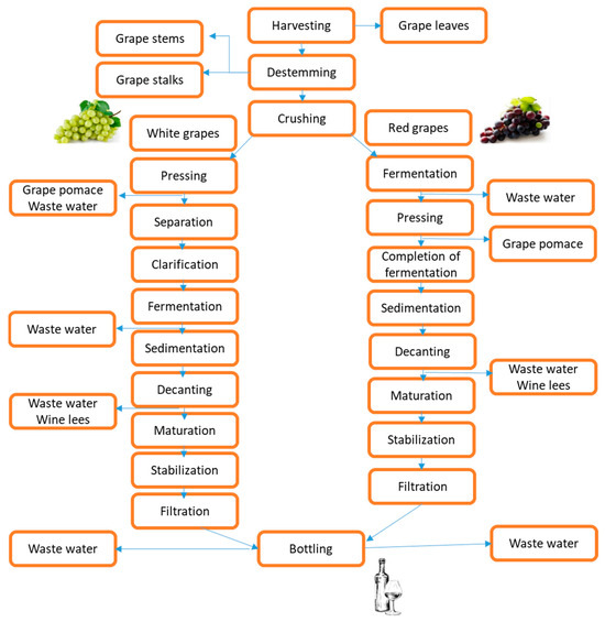 Antioxidants Free FullText Bioactive Components, Applications
