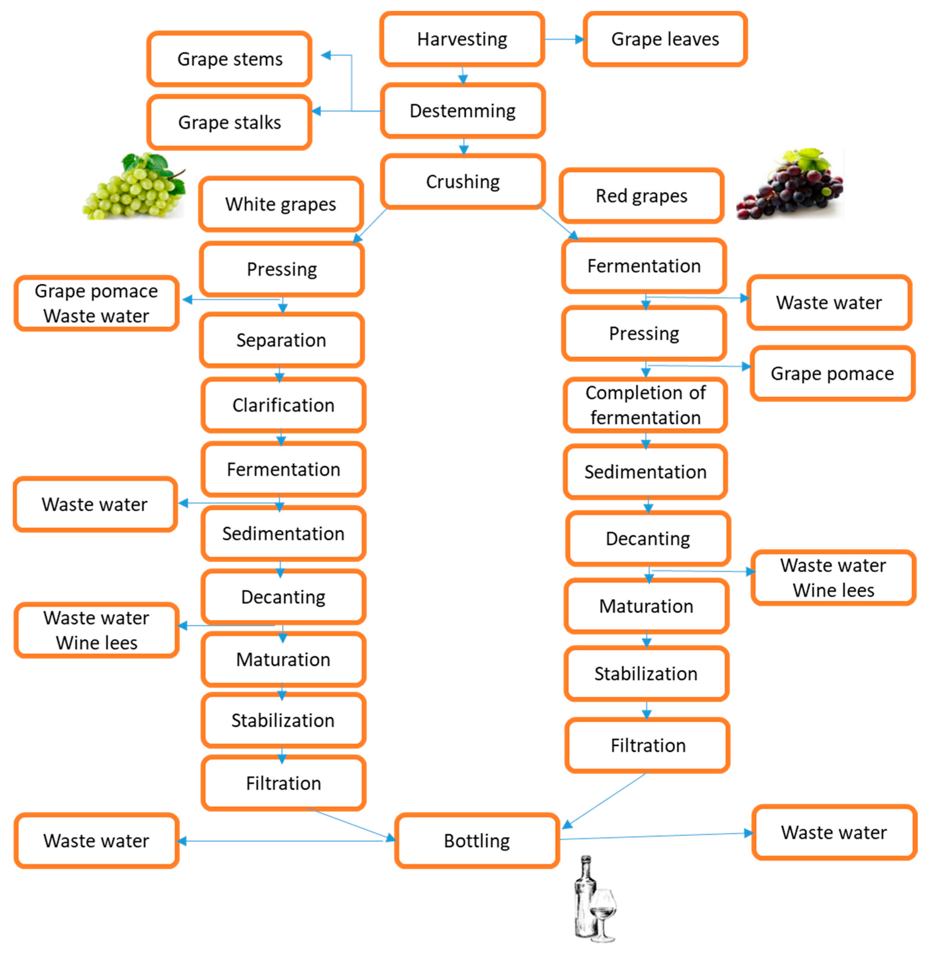 Antioxidants 13 00100 g002