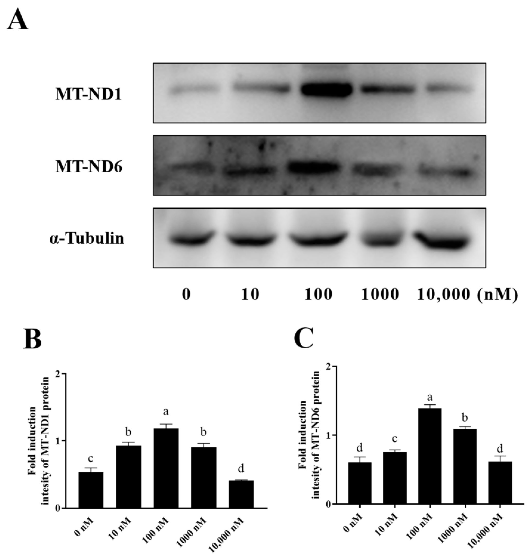 Antioxidants 13 00104 g007