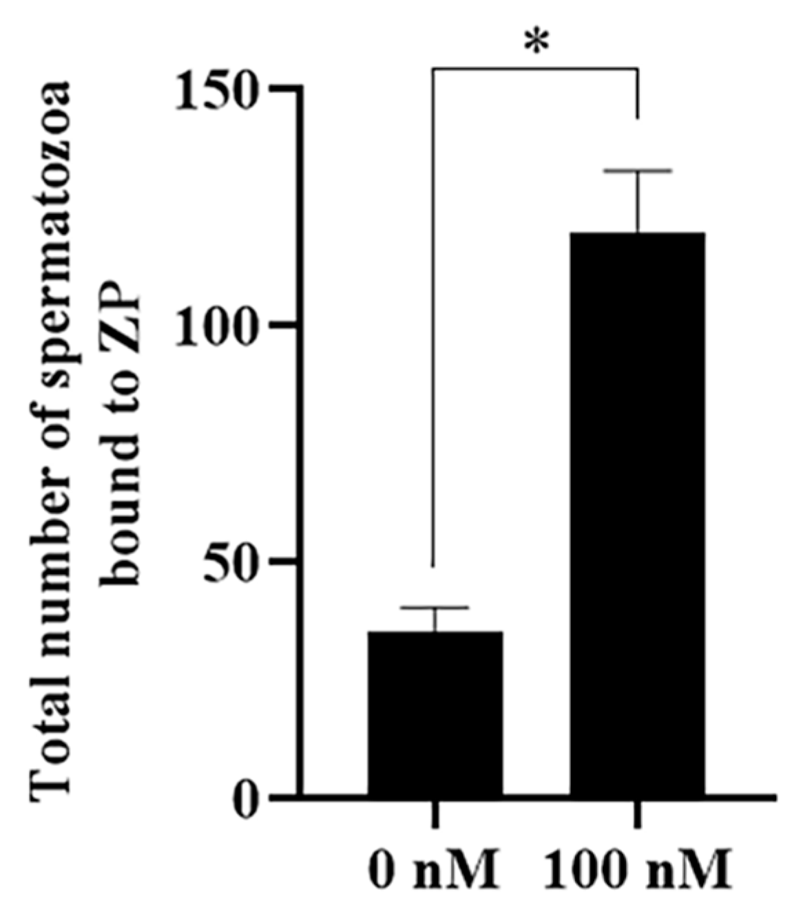 Antioxidants 13 00104 g011