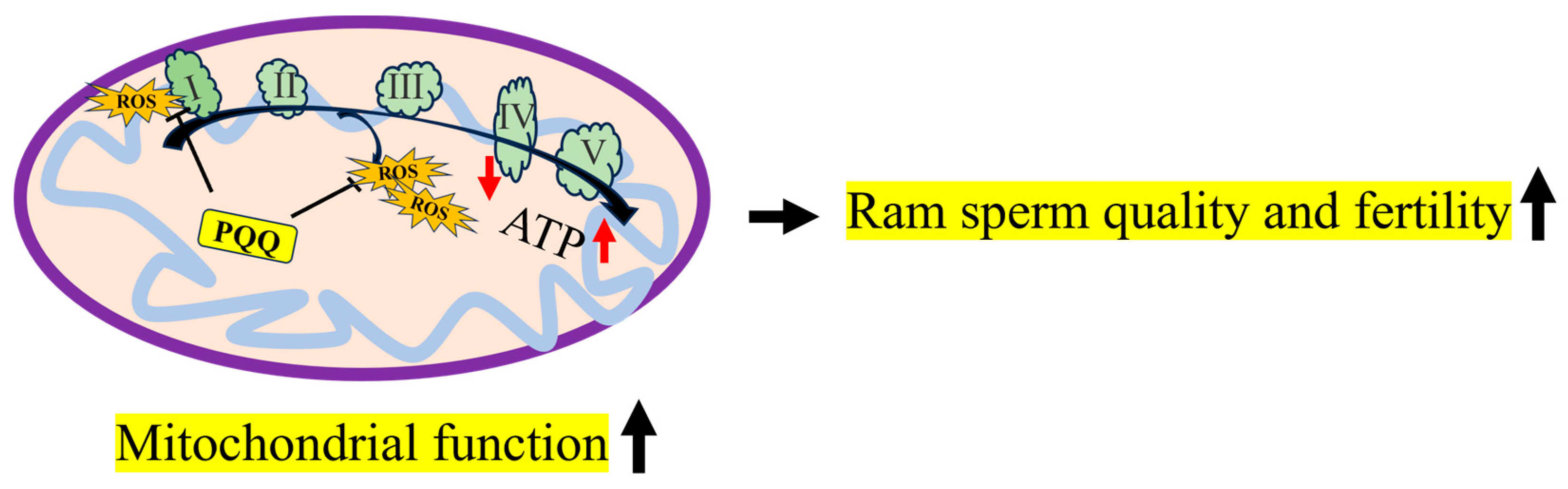 Antioxidants 13 00104 g012