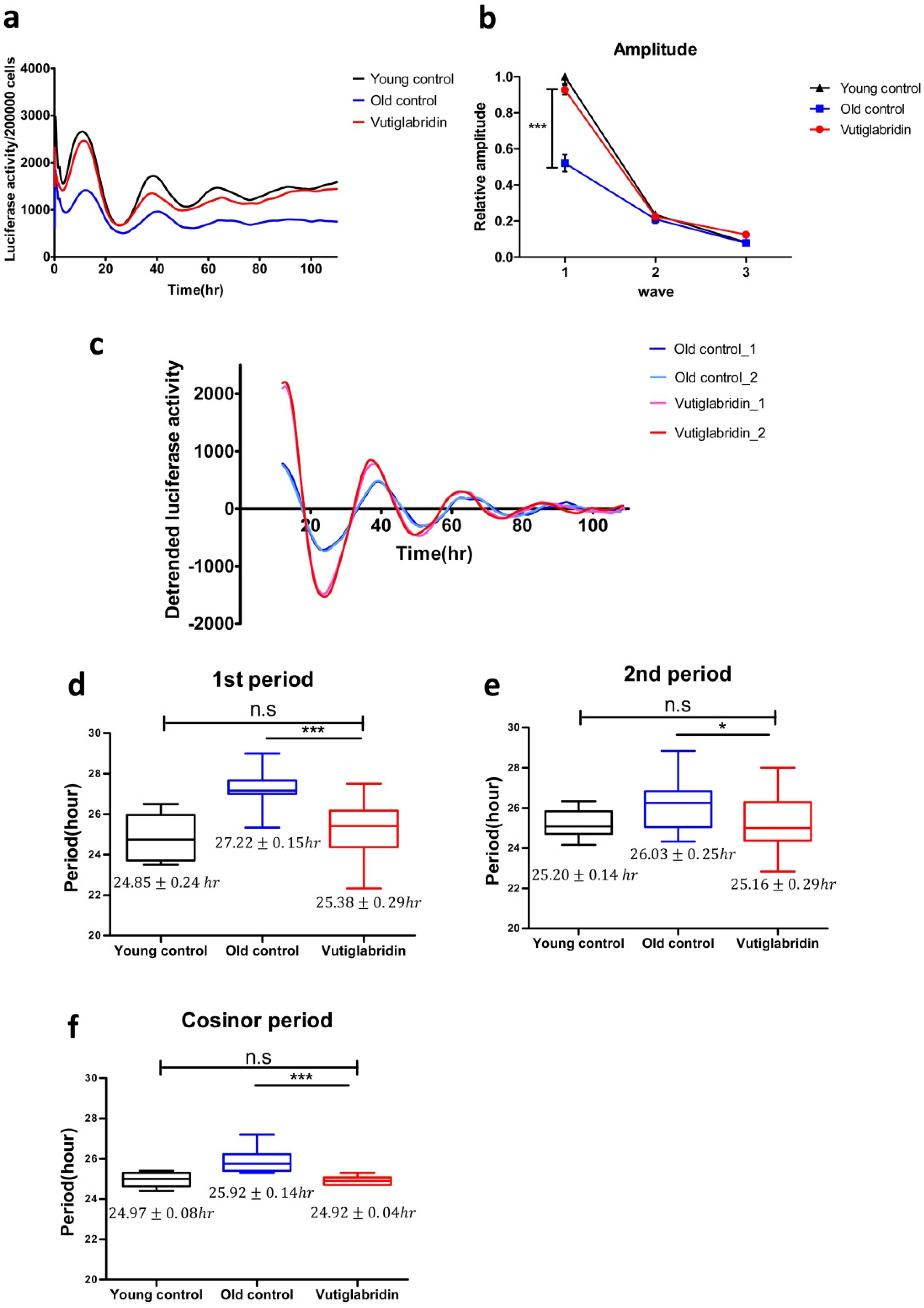 Antioxidants 13 00109 g004