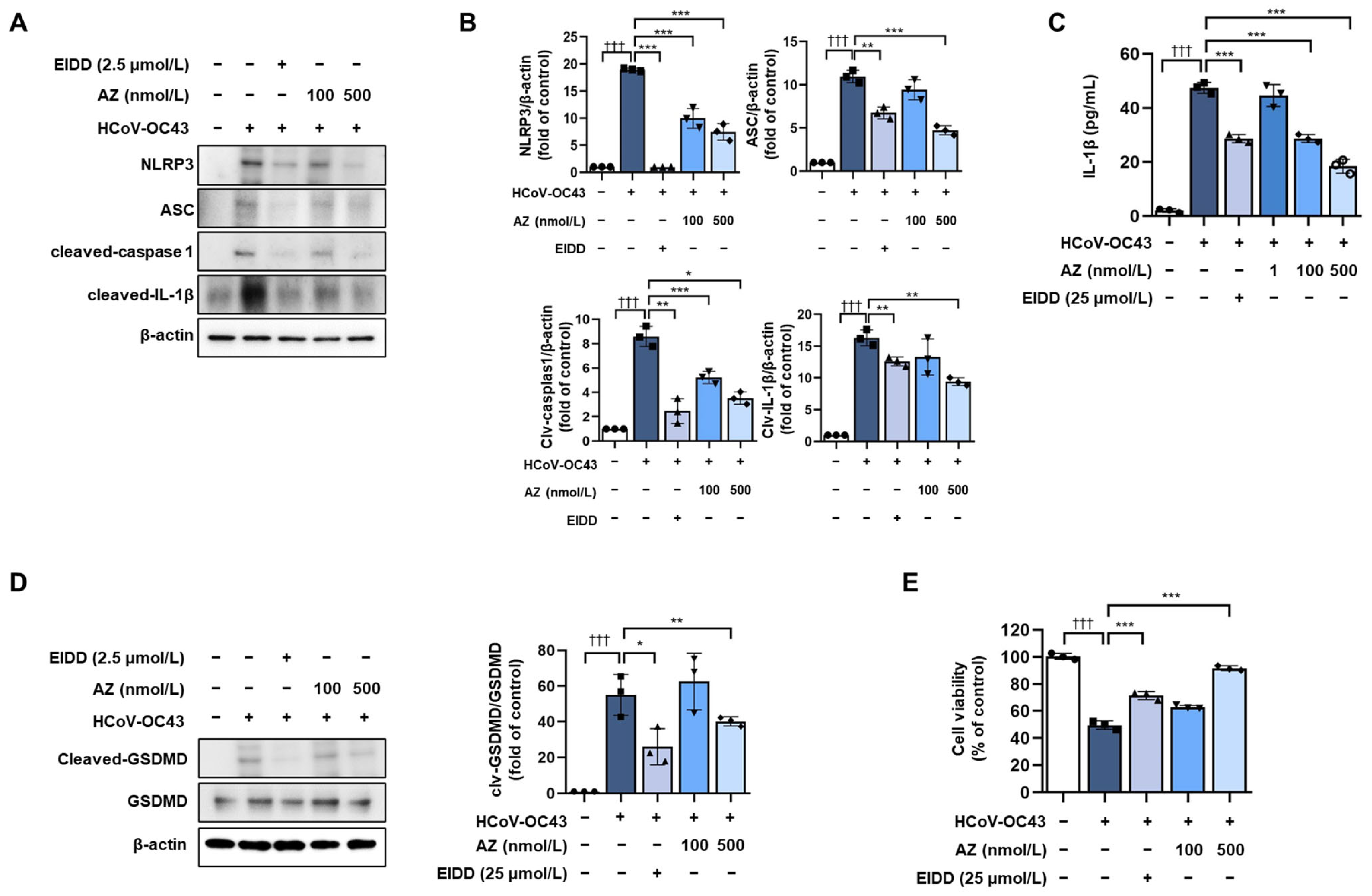 Antioxidants 13 00116 g003