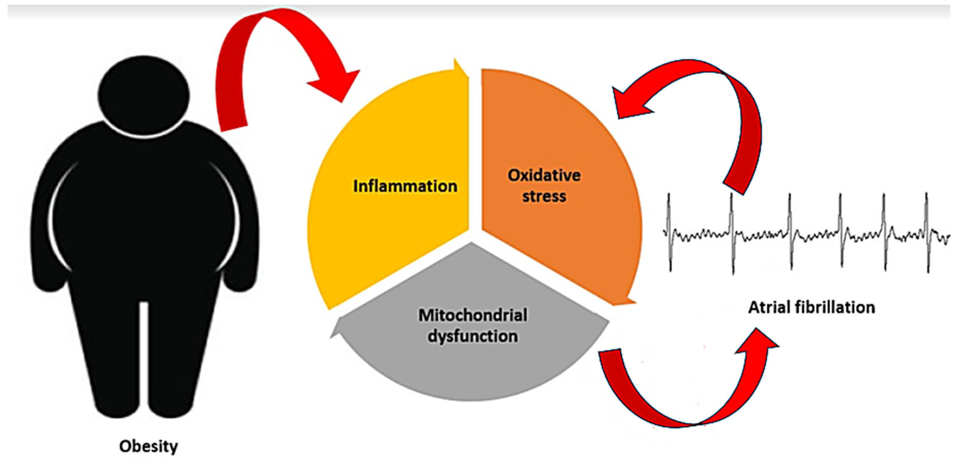 Oxidative Stress, Inflammation, and Mitochondrial