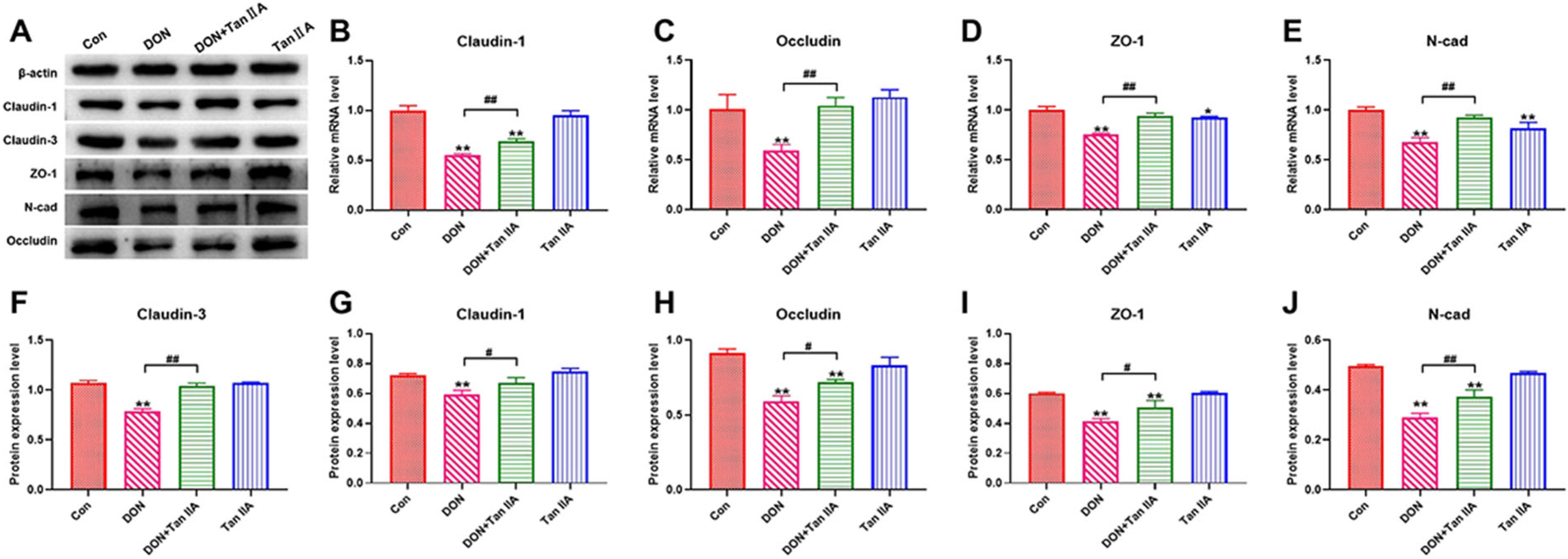 Antioxidants 13 00121 g002