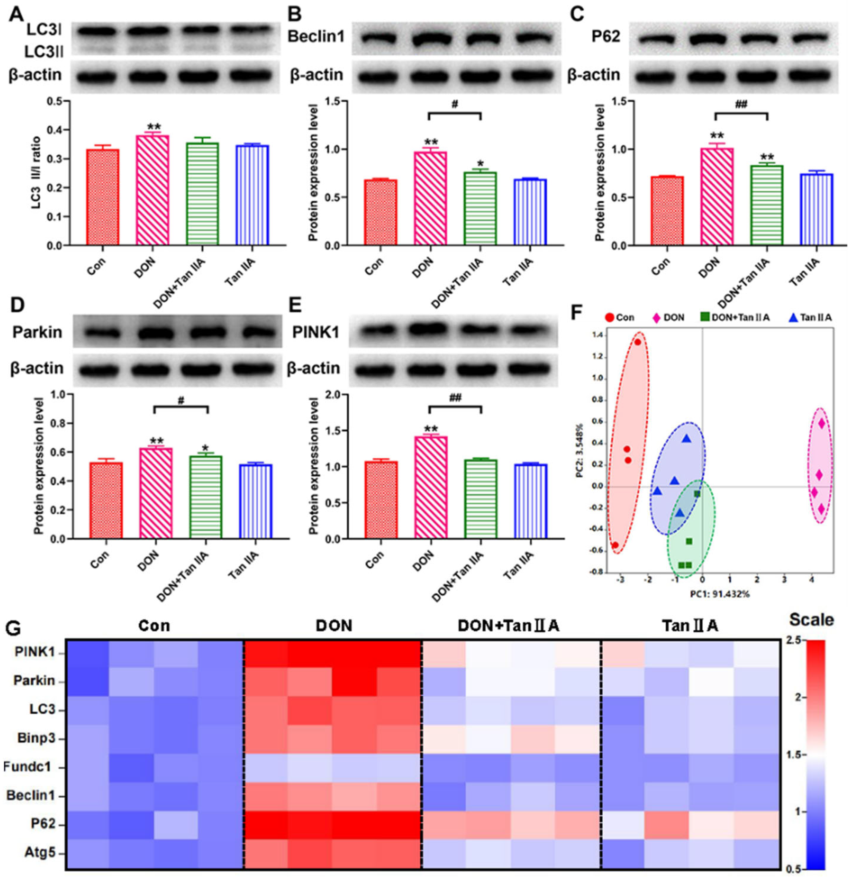 Antioxidants 13 00121 g006