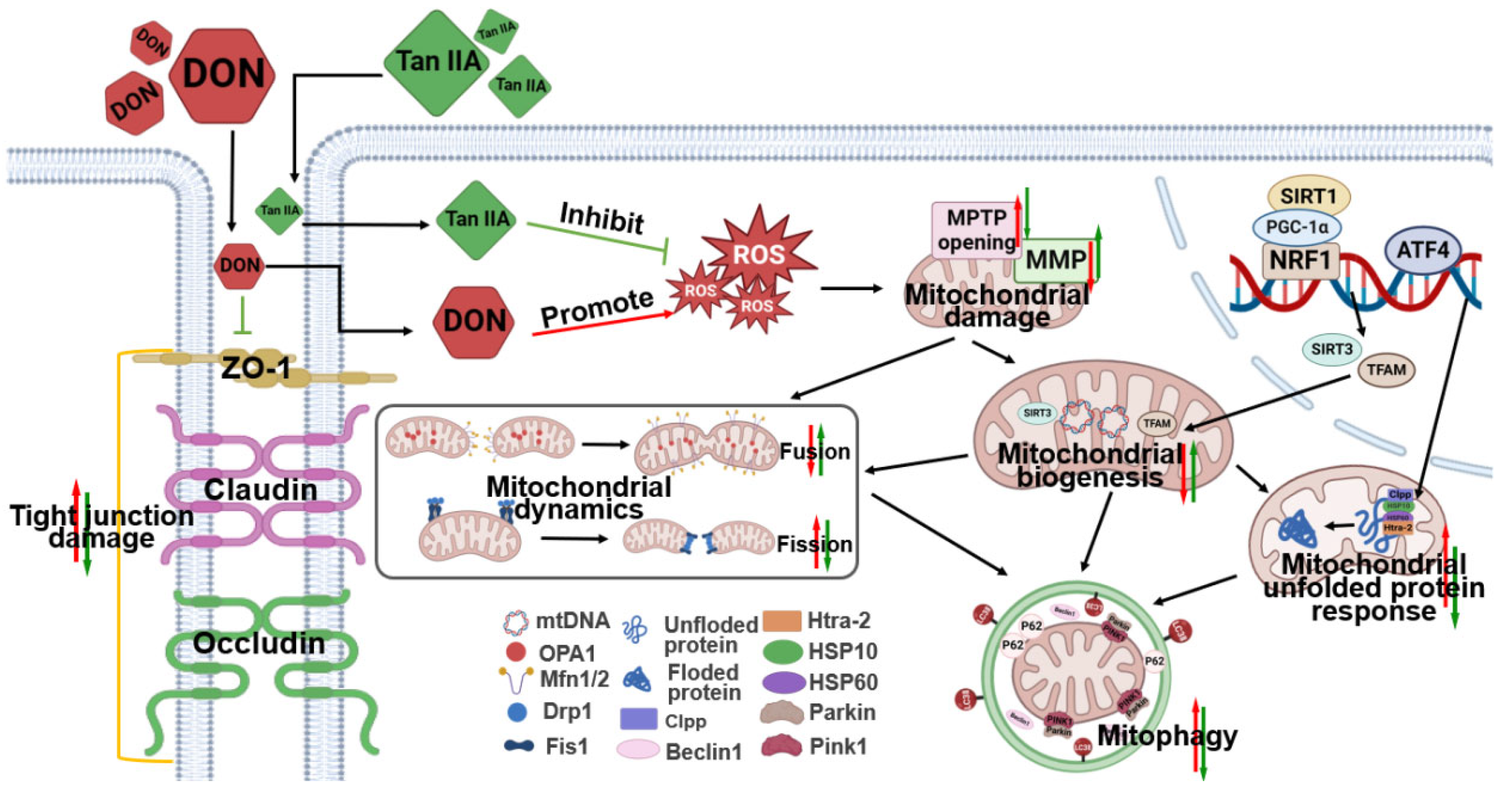 Antioxidants 13 00121 g007