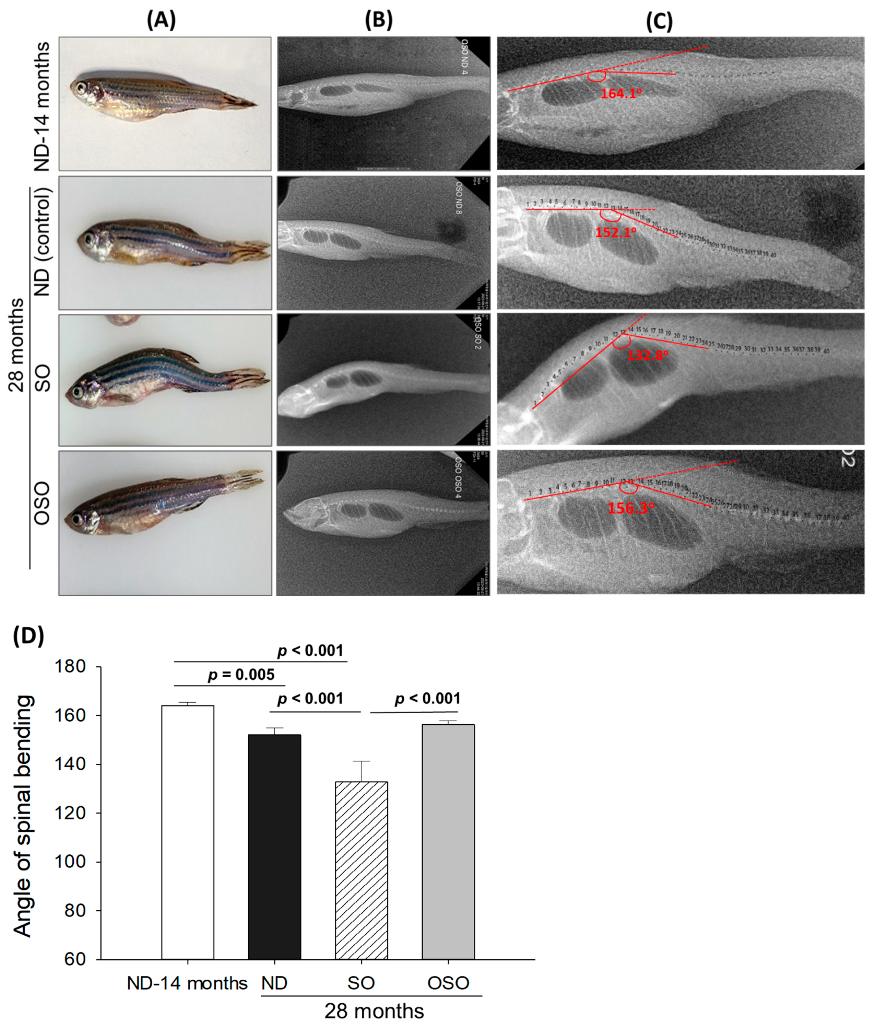 Antioxidants 13 00123 g002