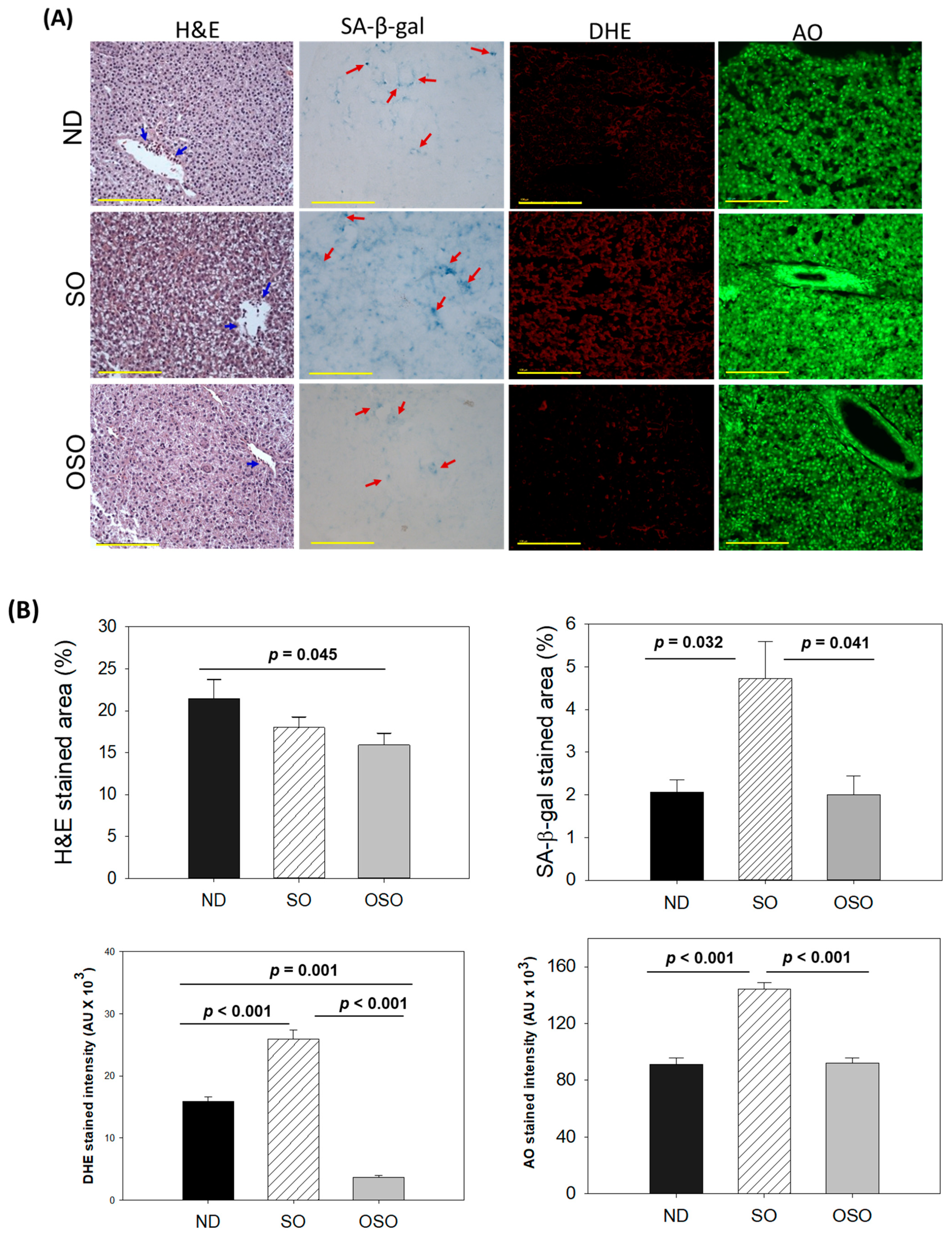 Antioxidants 13 00123 g004