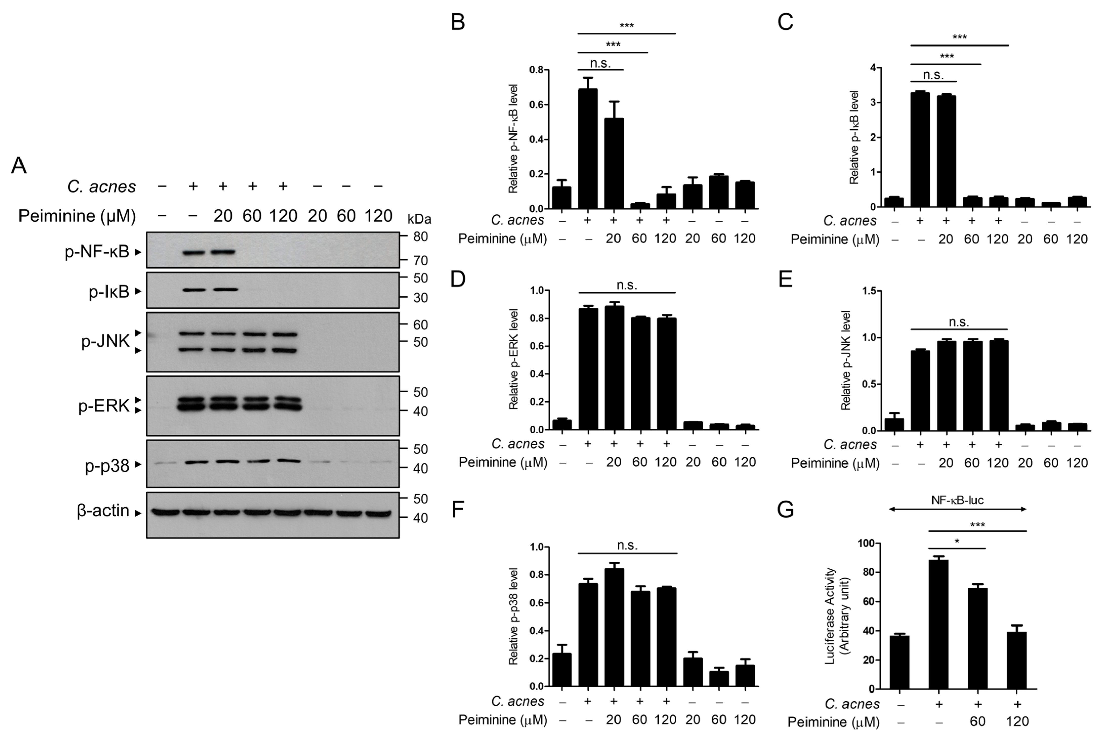 Antioxidants 13 00131 g003