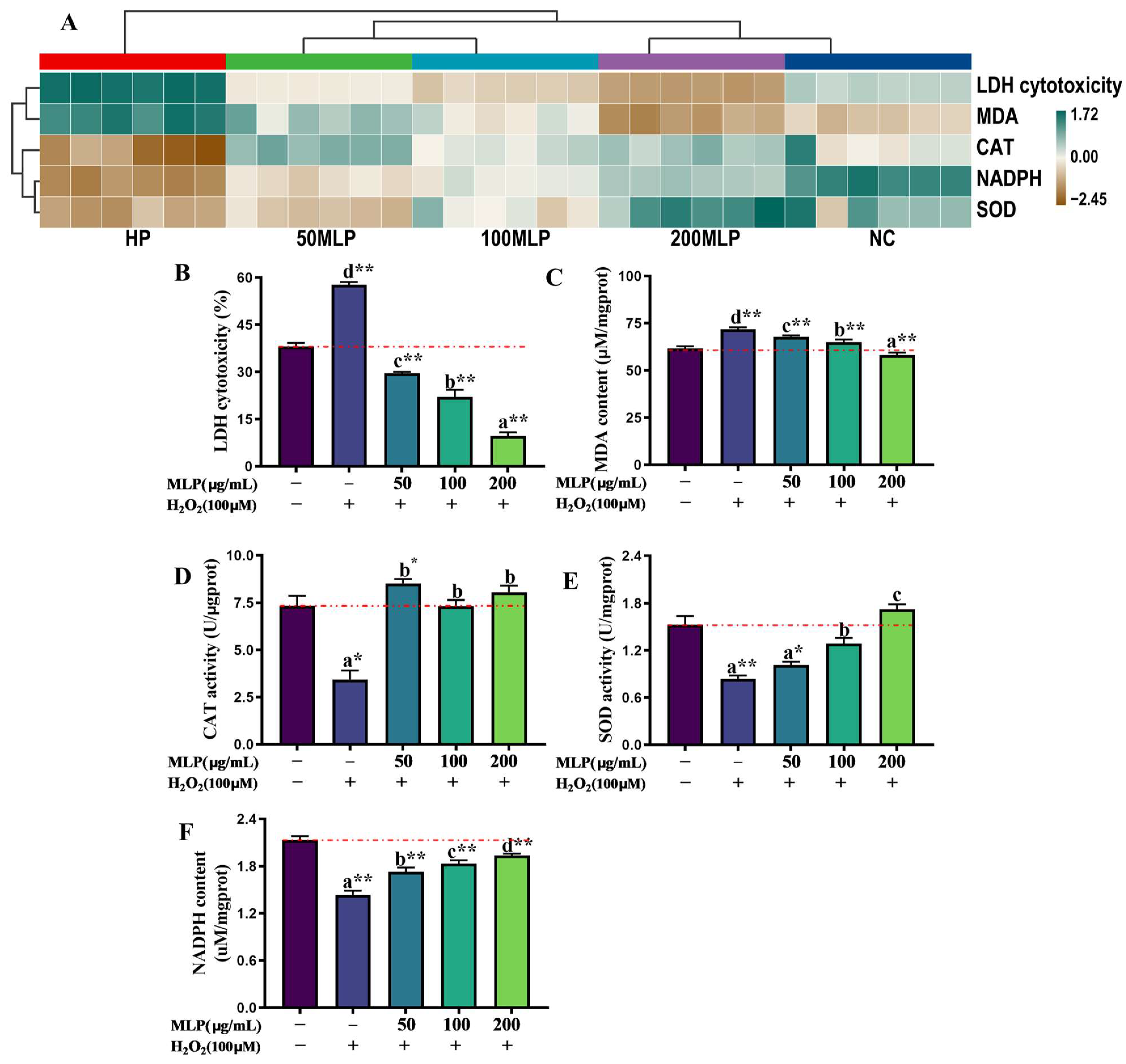 Antioxidants 13 00136 g002