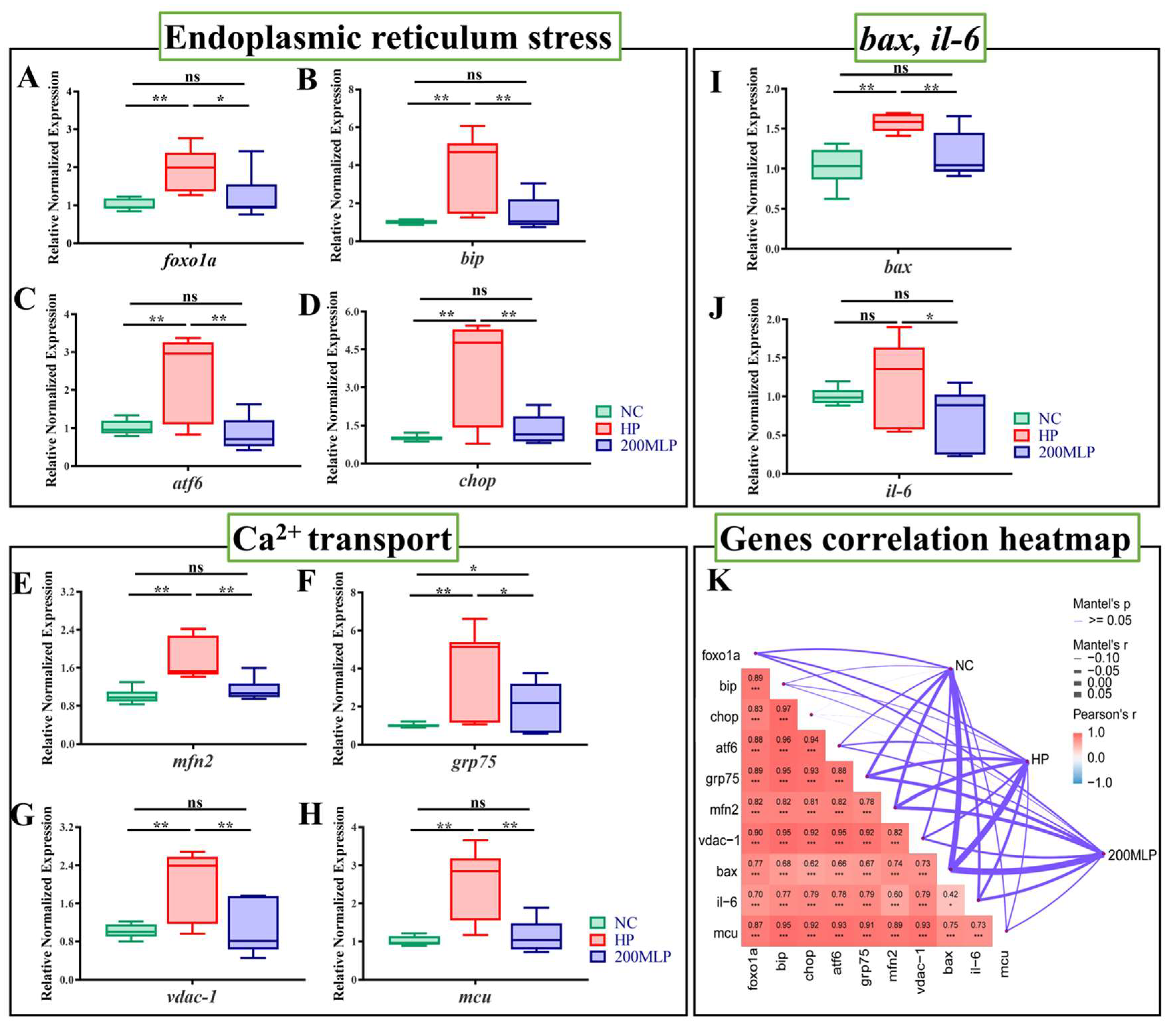 Antioxidants 13 00136 g004