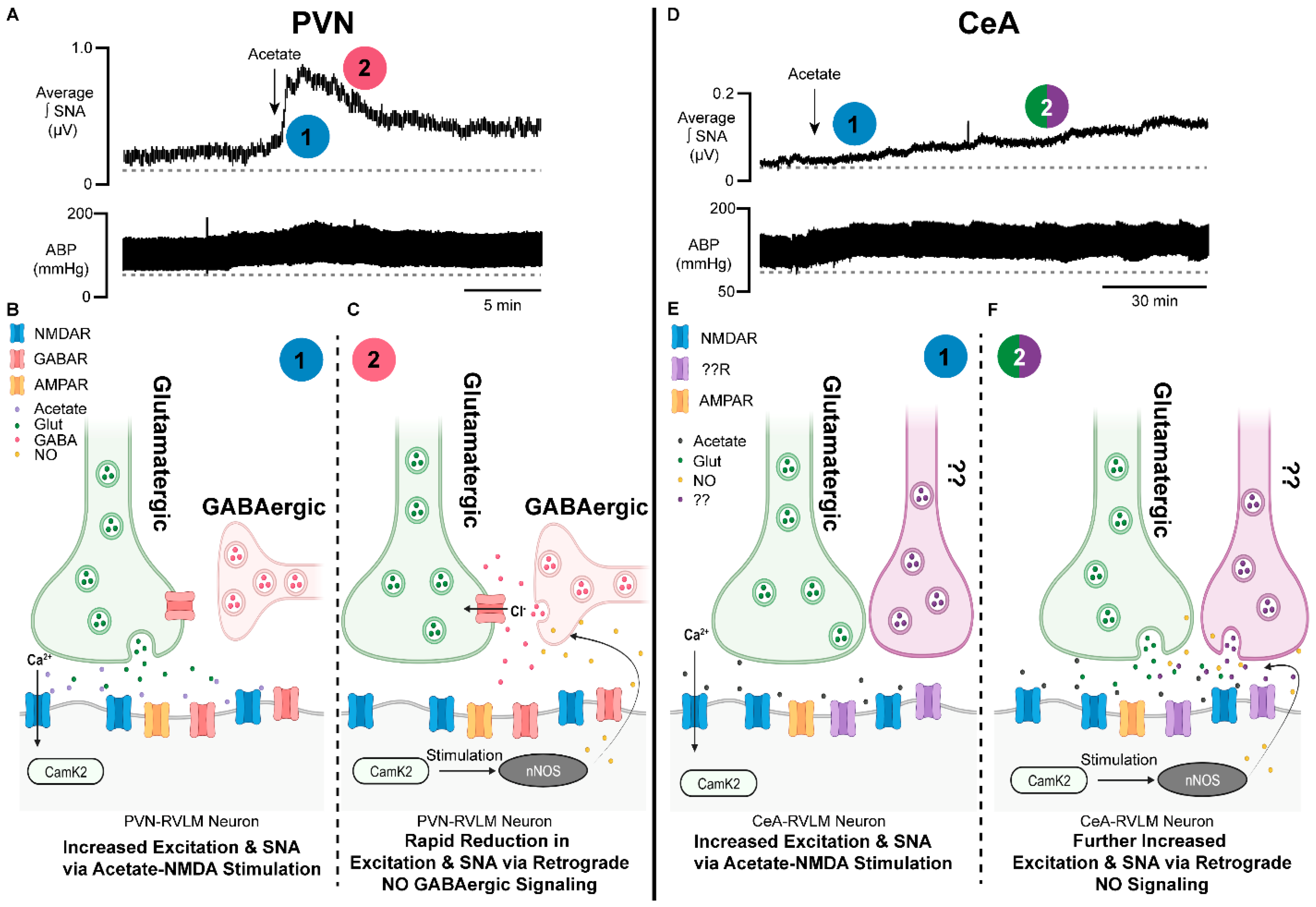 Antioxidants 13 00139 g002