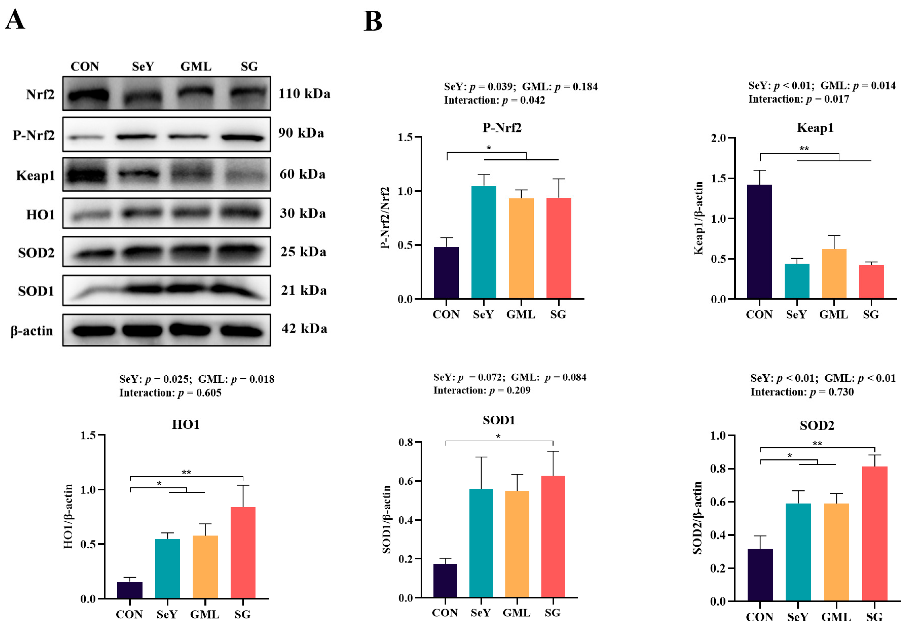Antioxidants 13 00141 g004