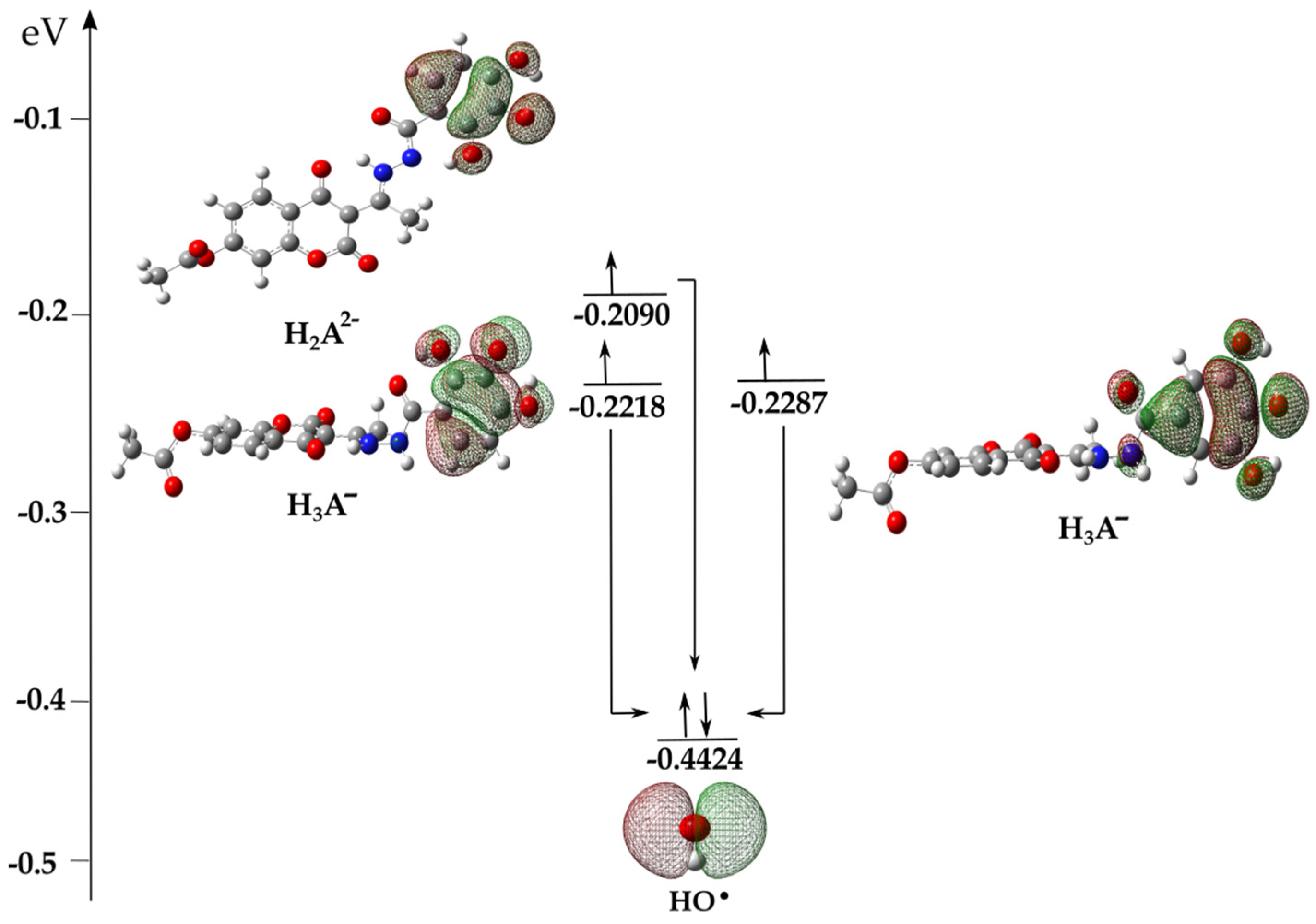 Antioxidants 13 00143 g004