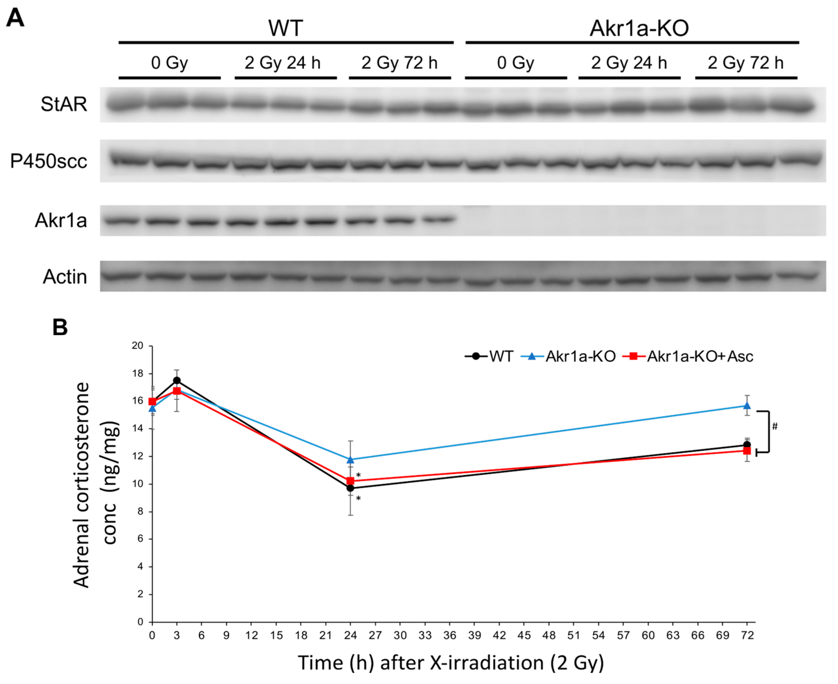 Antioxidants 13 00152 g005