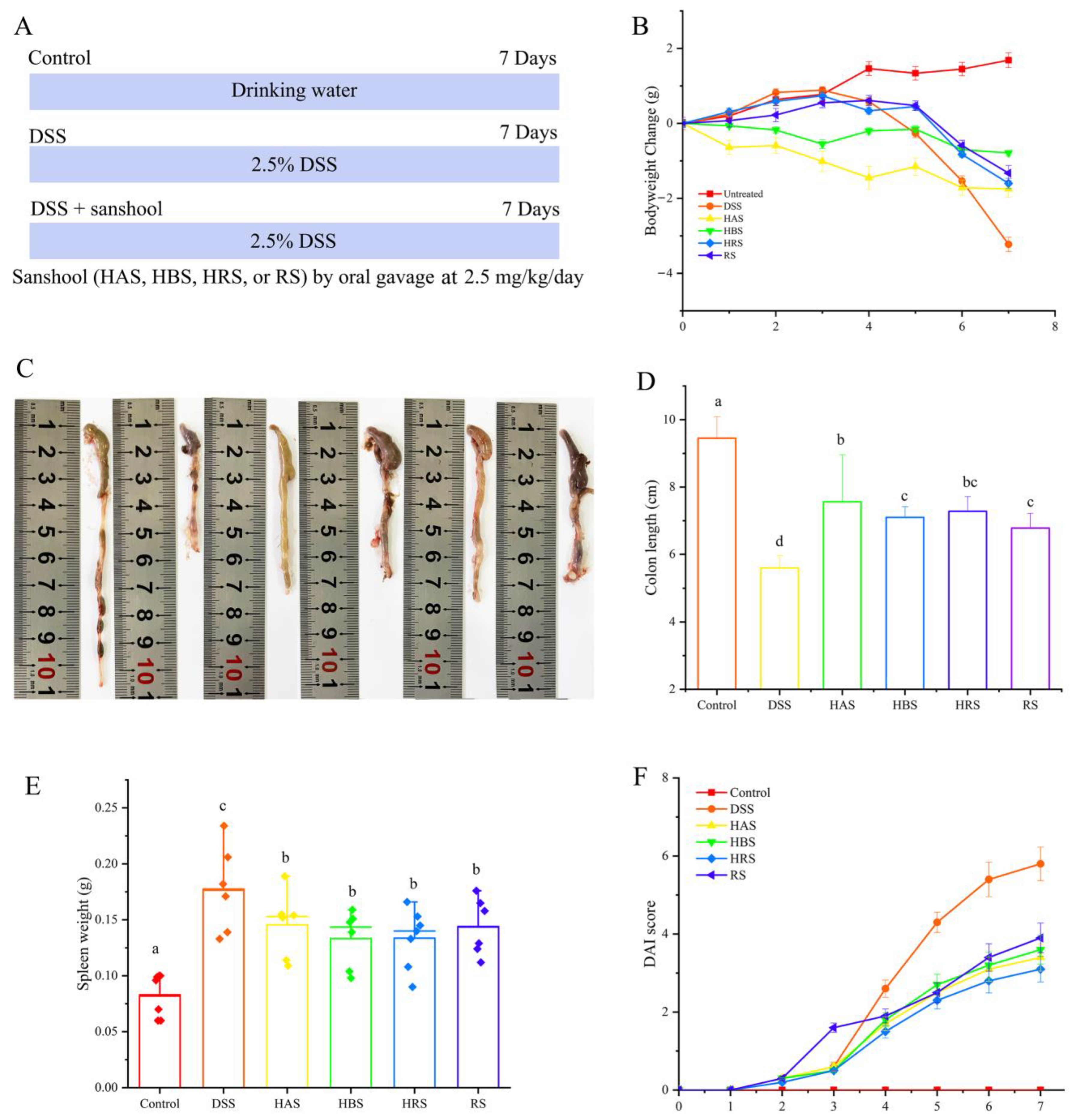 Antioxidants 13 00153 g001