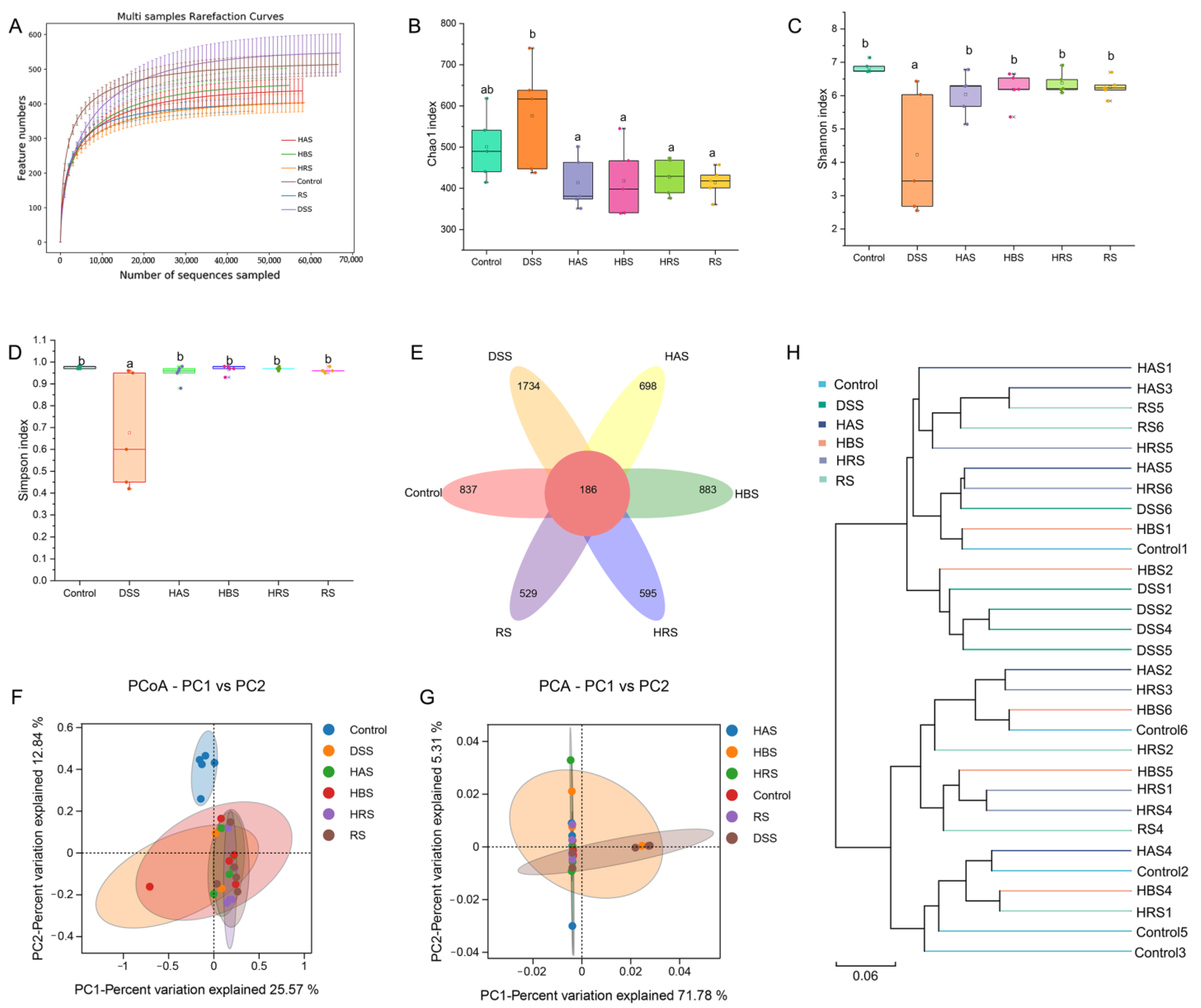 Antioxidants 13 00153 g006