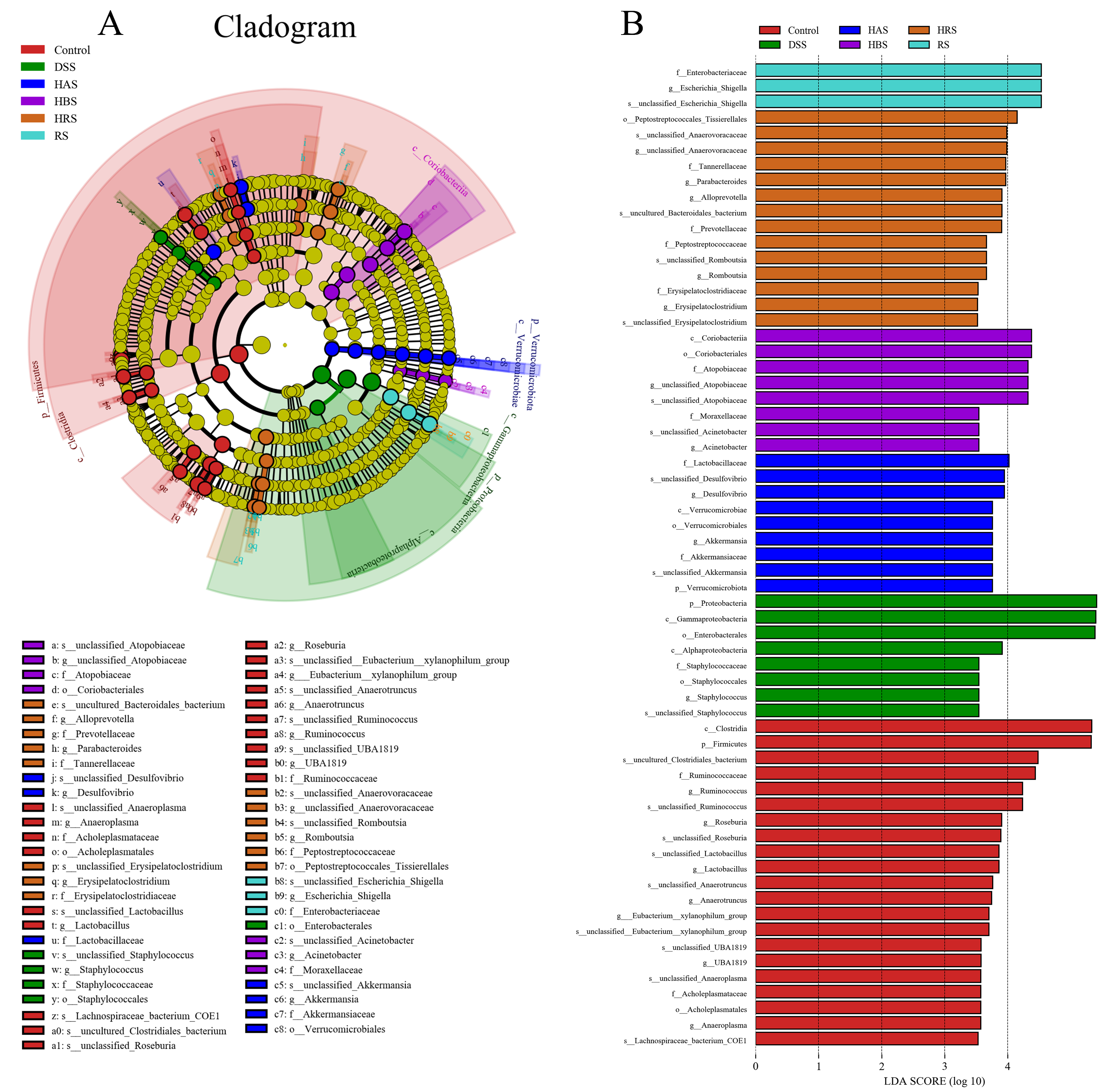 Antioxidants 13 00153 g008