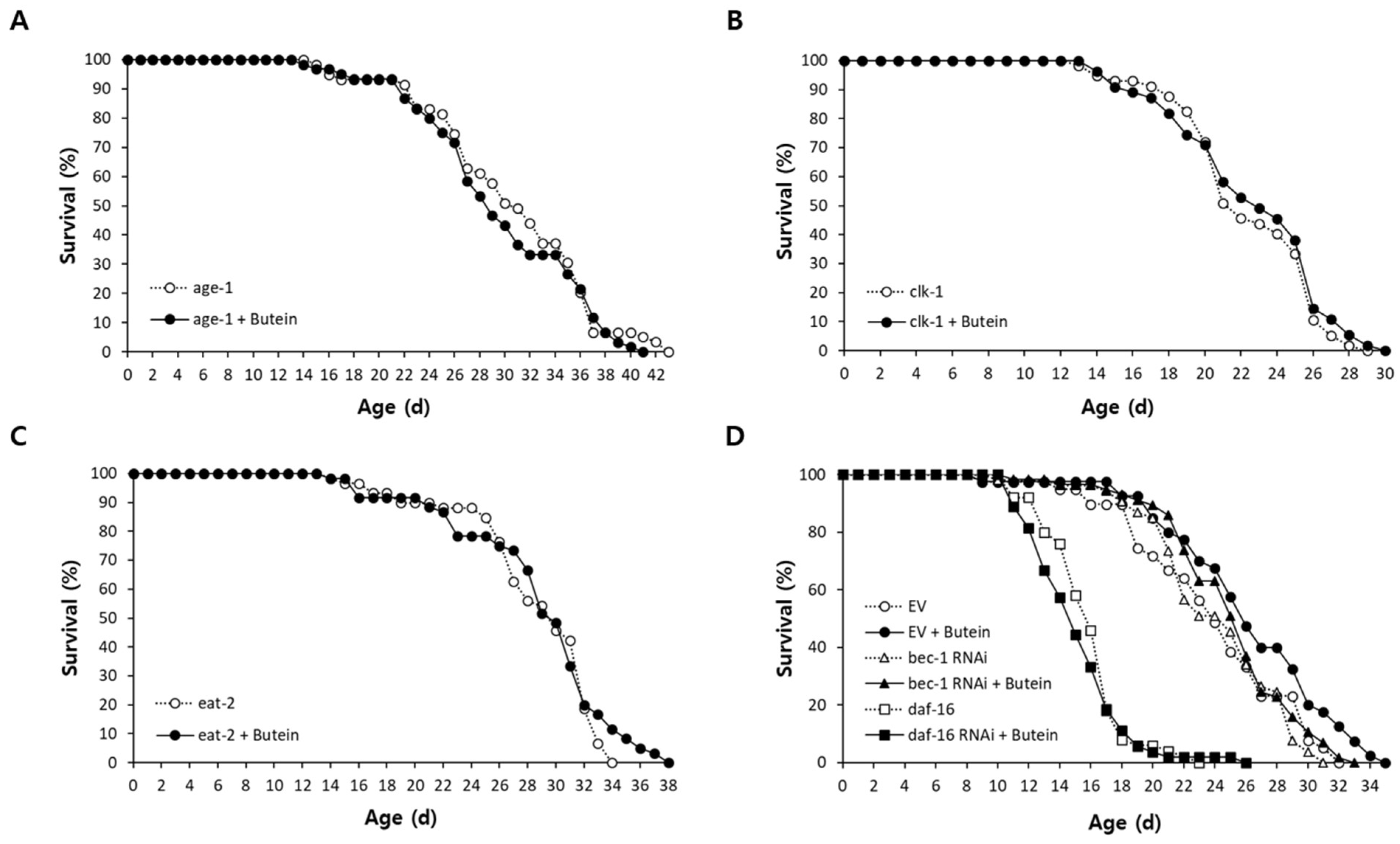 Antioxidants 13 00155 g003