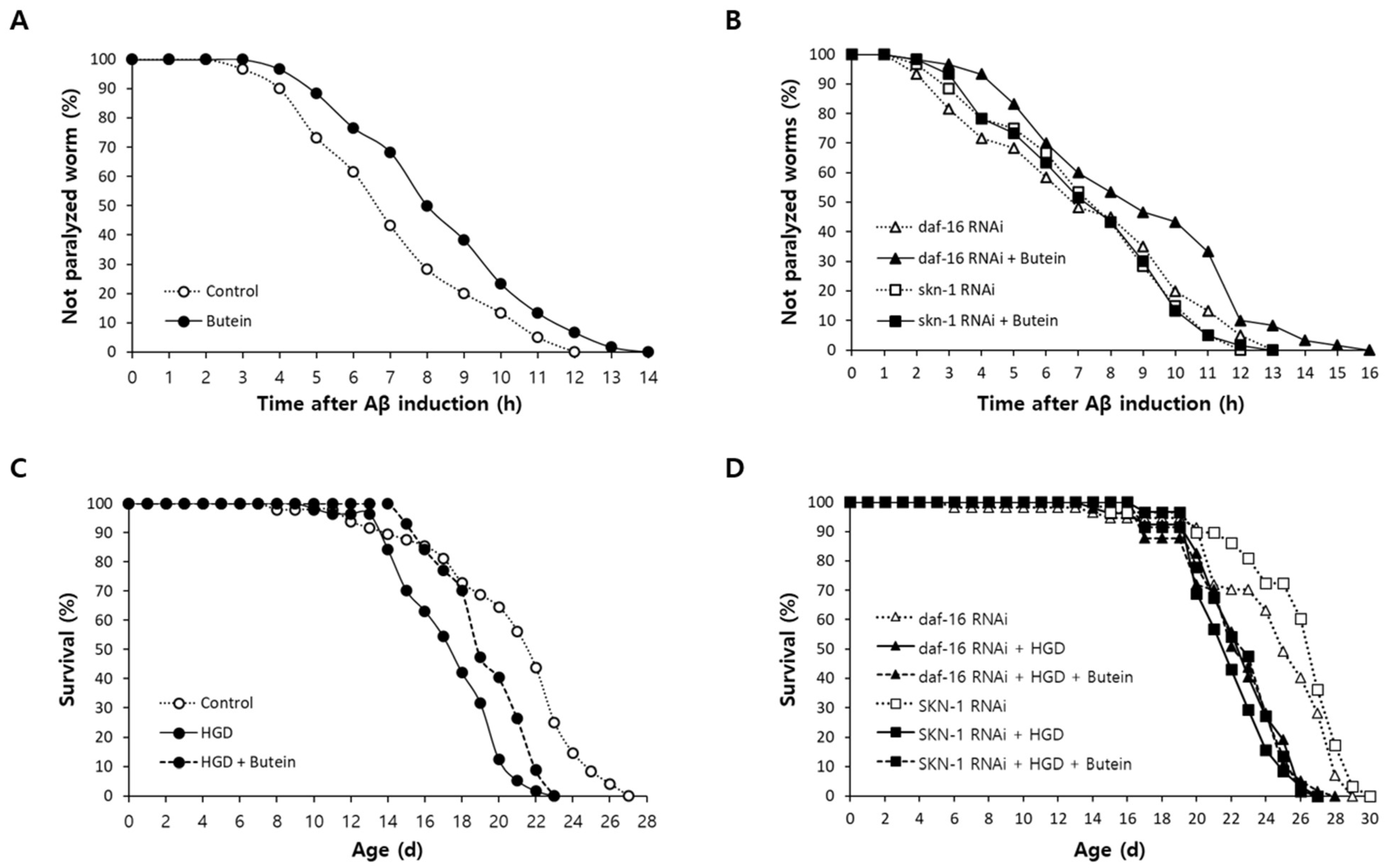 Antioxidants 13 00155 g005