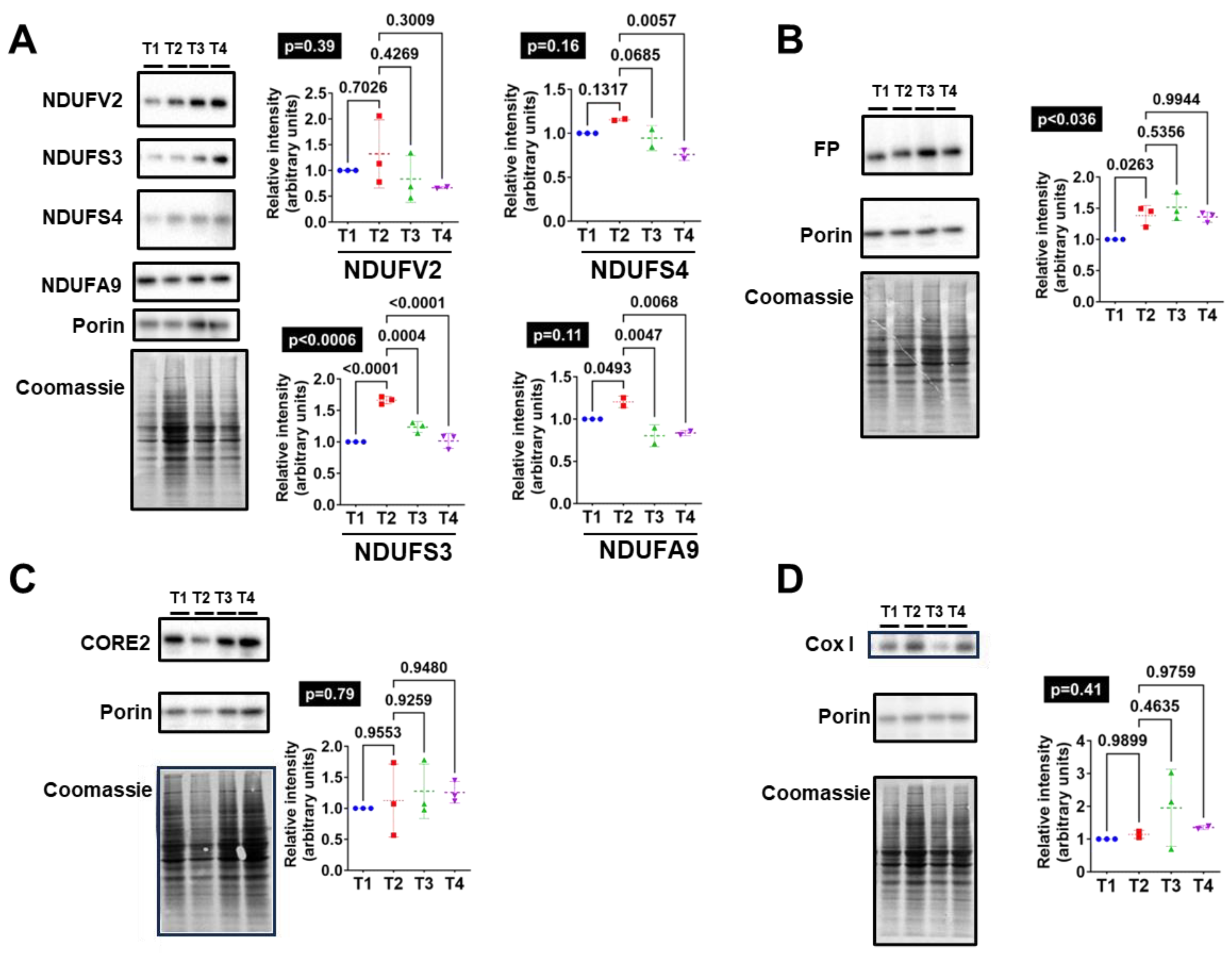 Antioxidants 13 00161 g002
