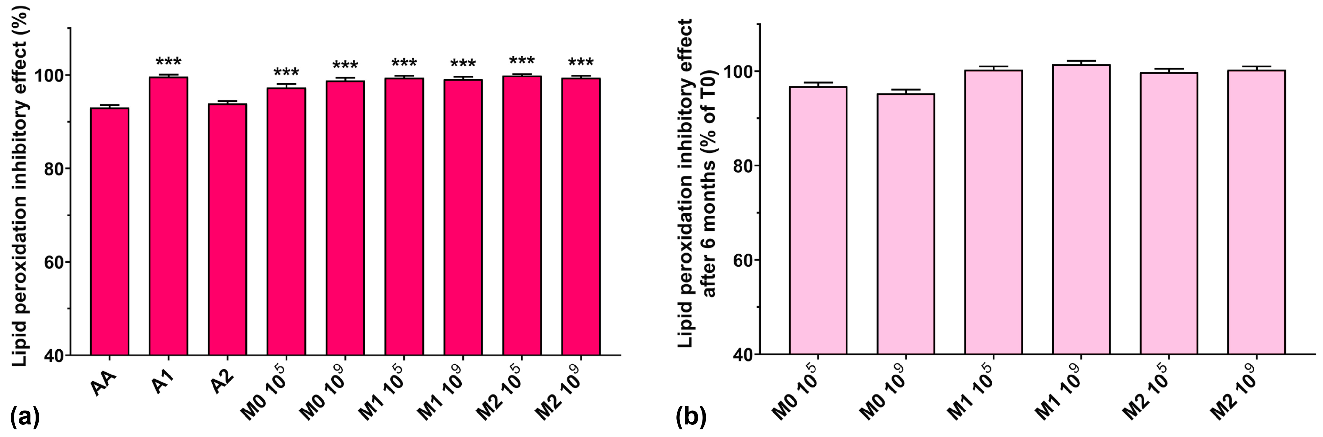 Antioxidants 13 00165 g008