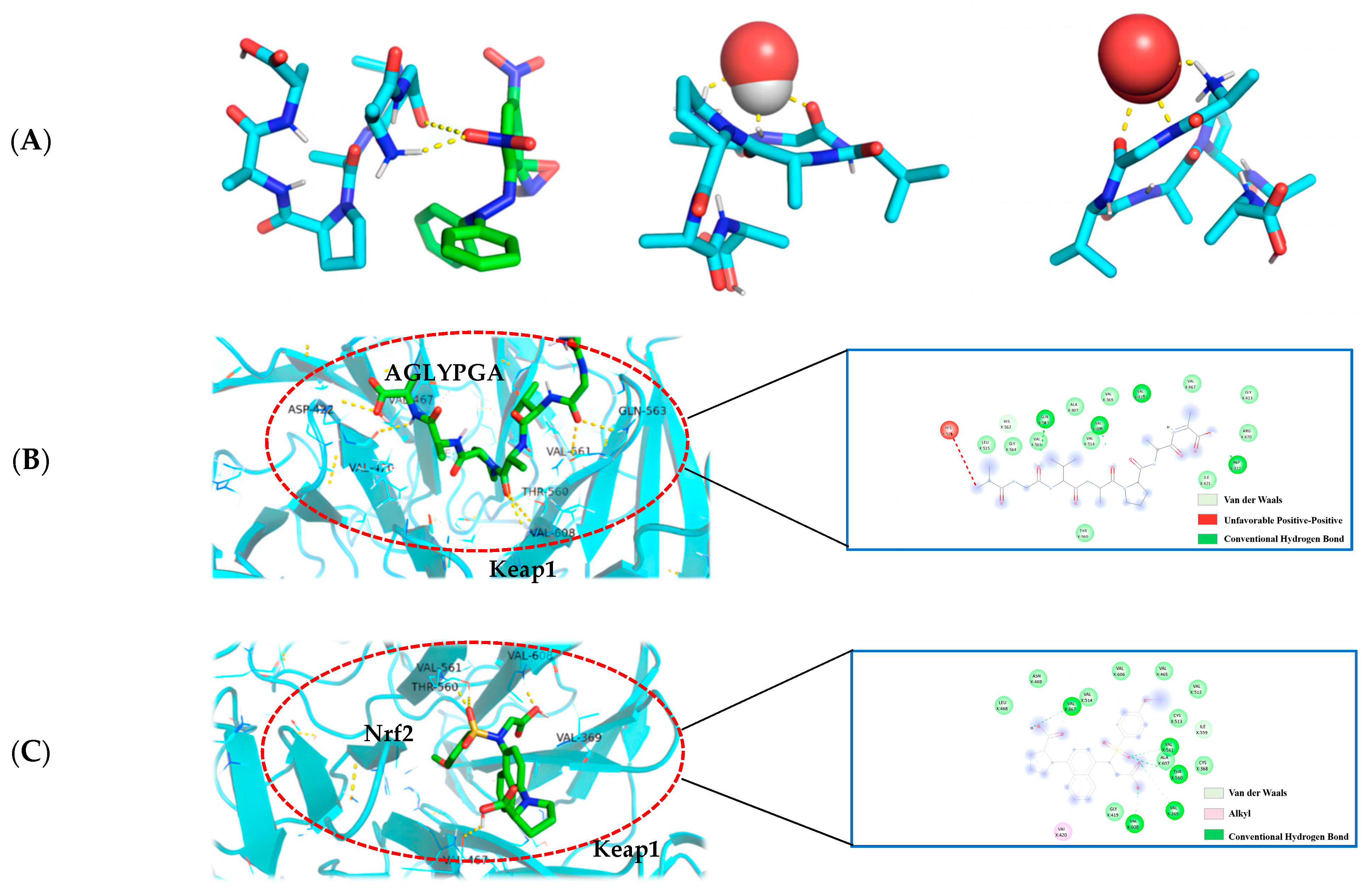 Antioxidants 13 00166 g004