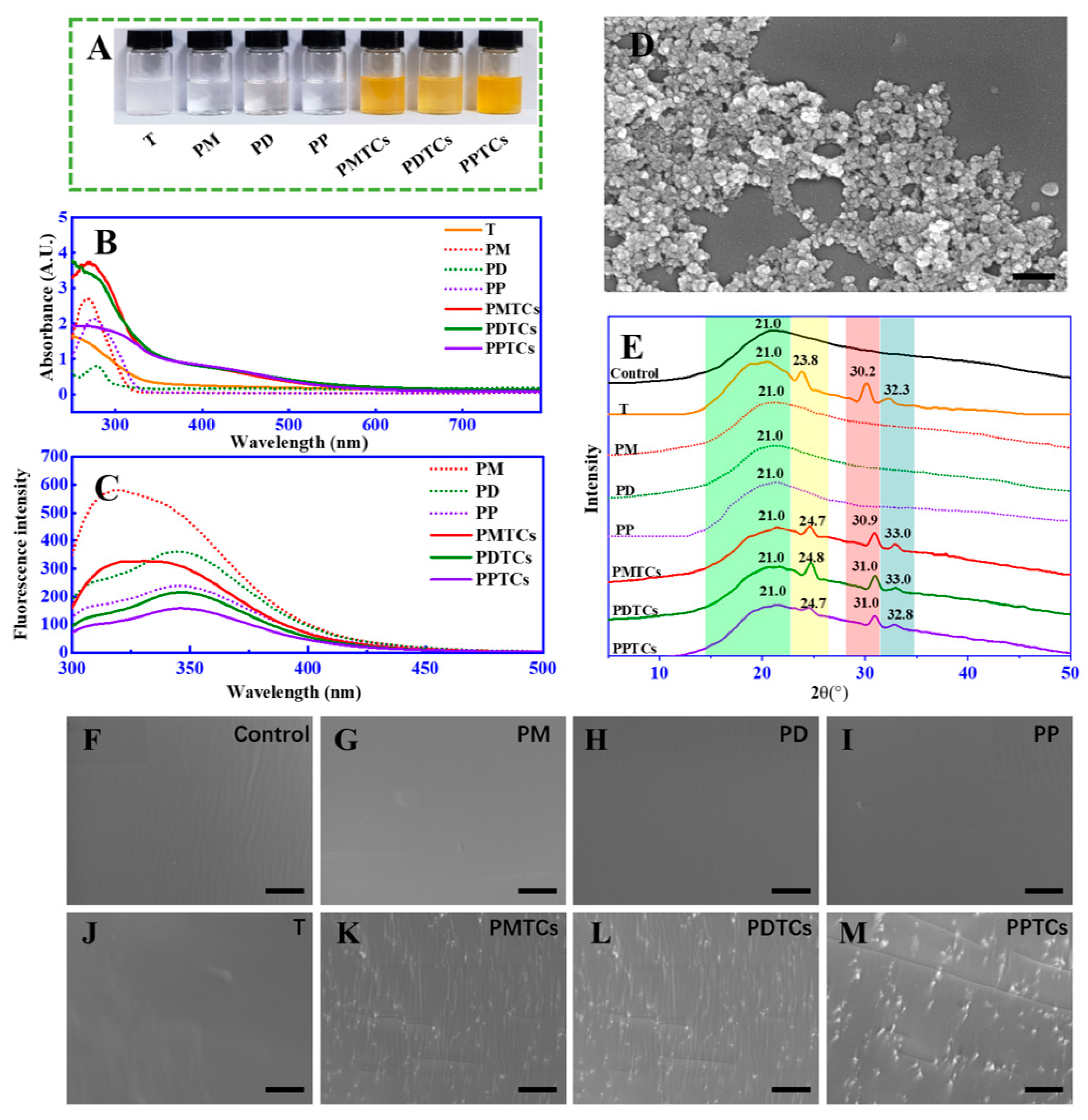 Antioxidants 13 00167 g003
