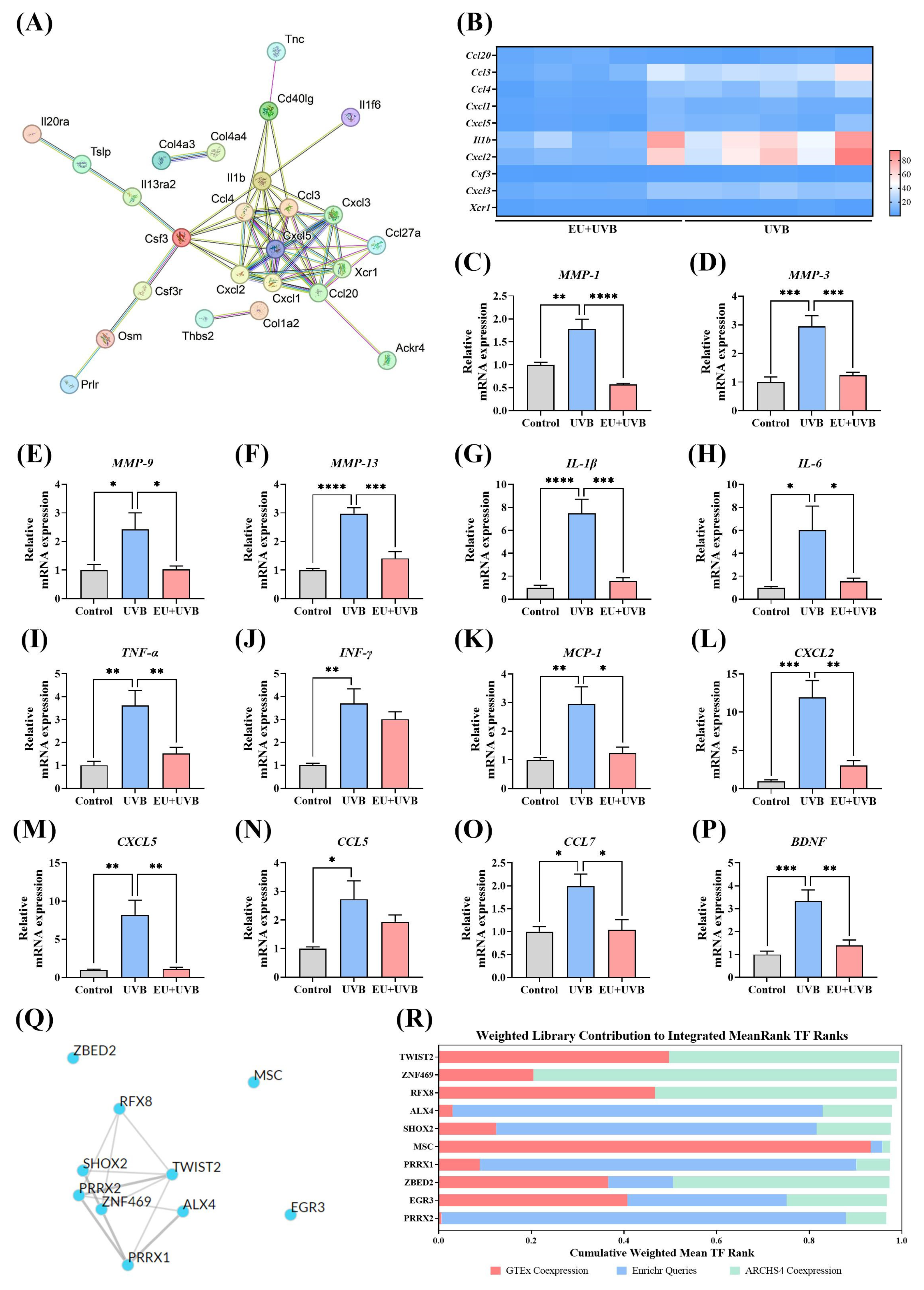 Antioxidants 13 00168 g007