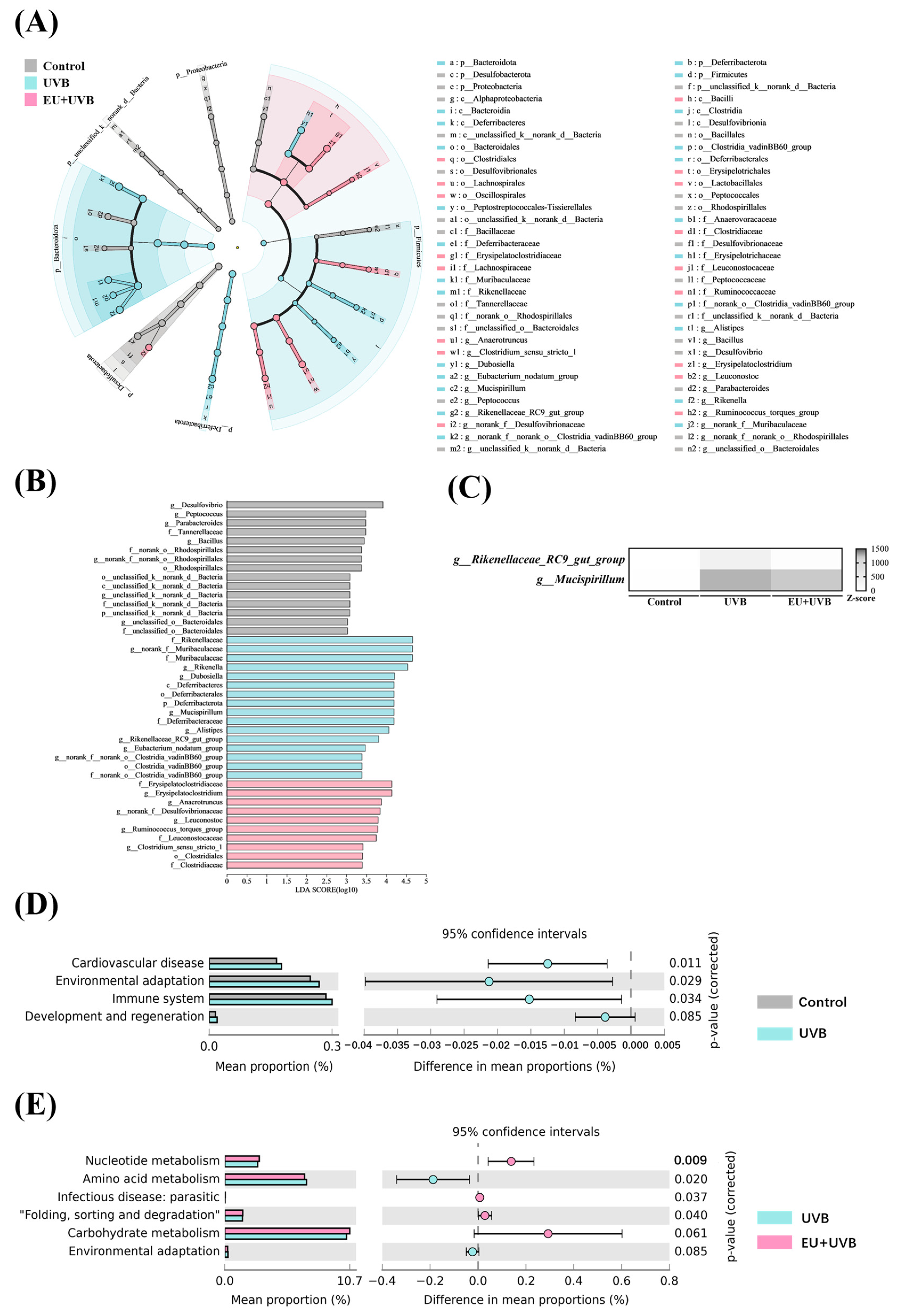 Antioxidants 13 00168 g009