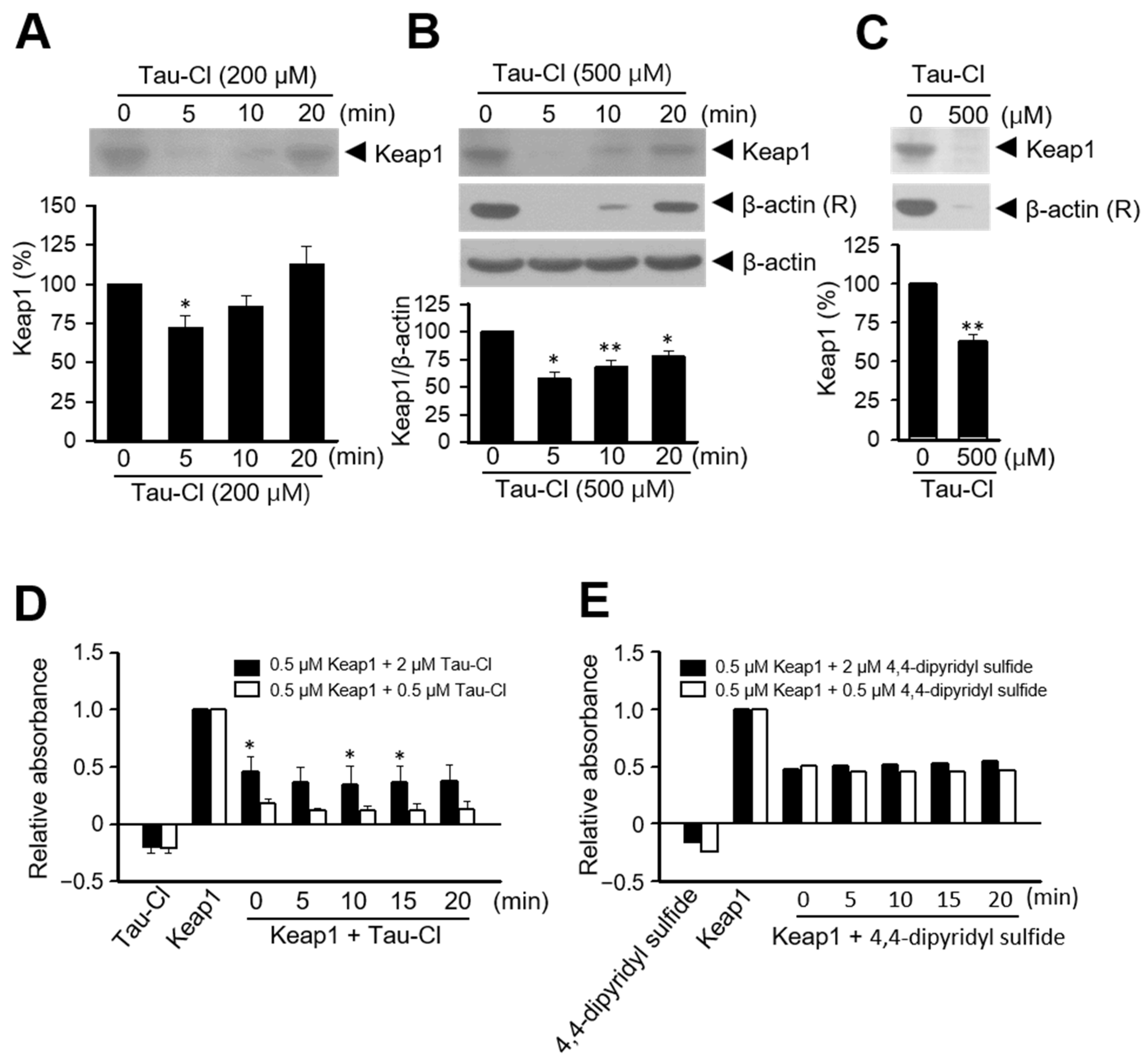 Antioxidants 13 00169 g003