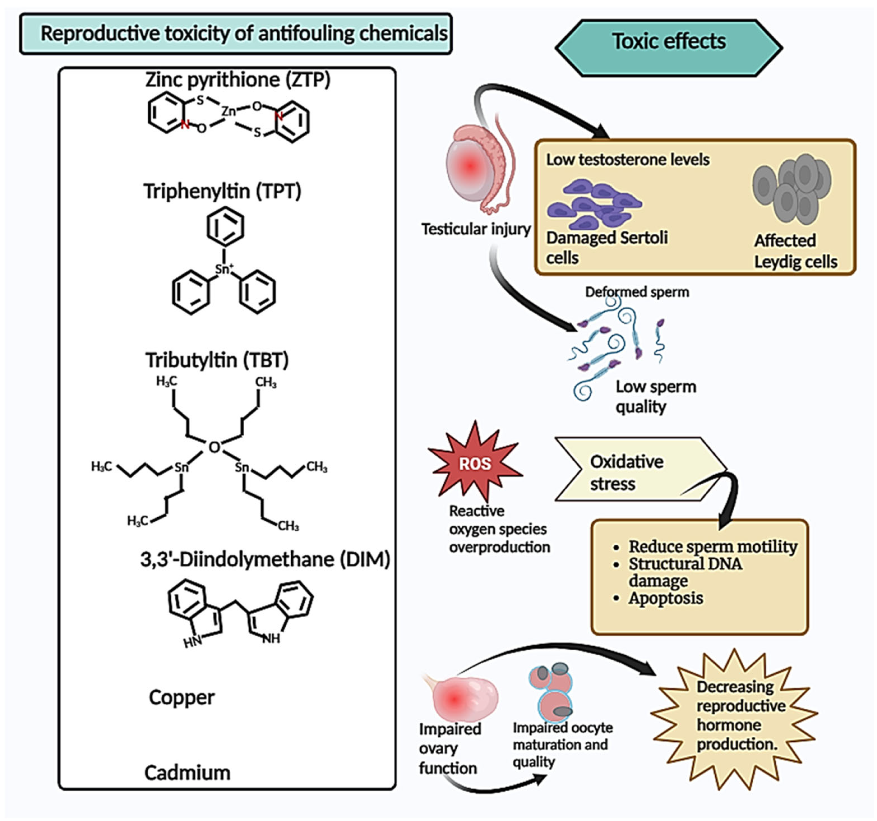 Antioxidants 13 00173 g001