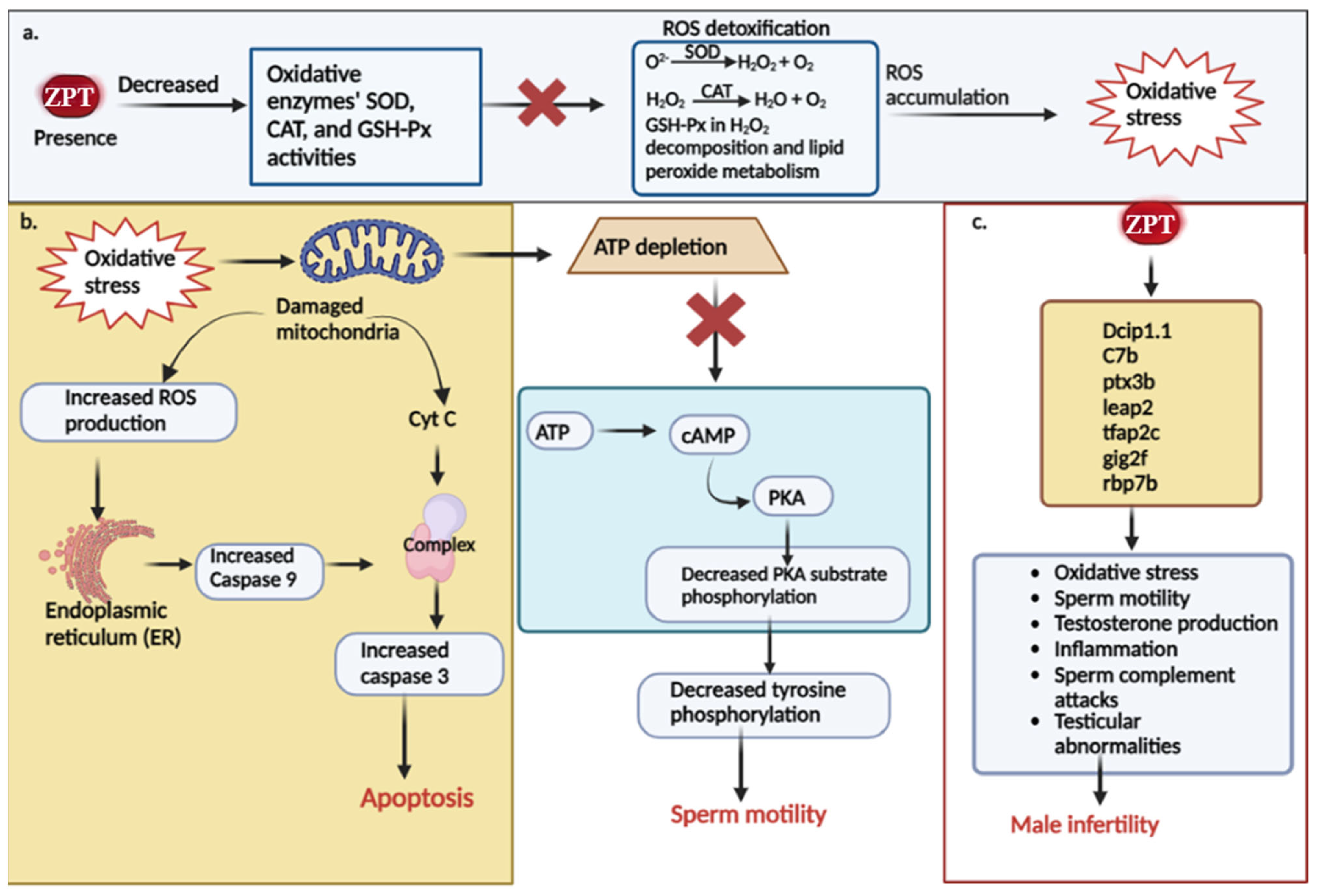 Antioxidants 13 00173 g002