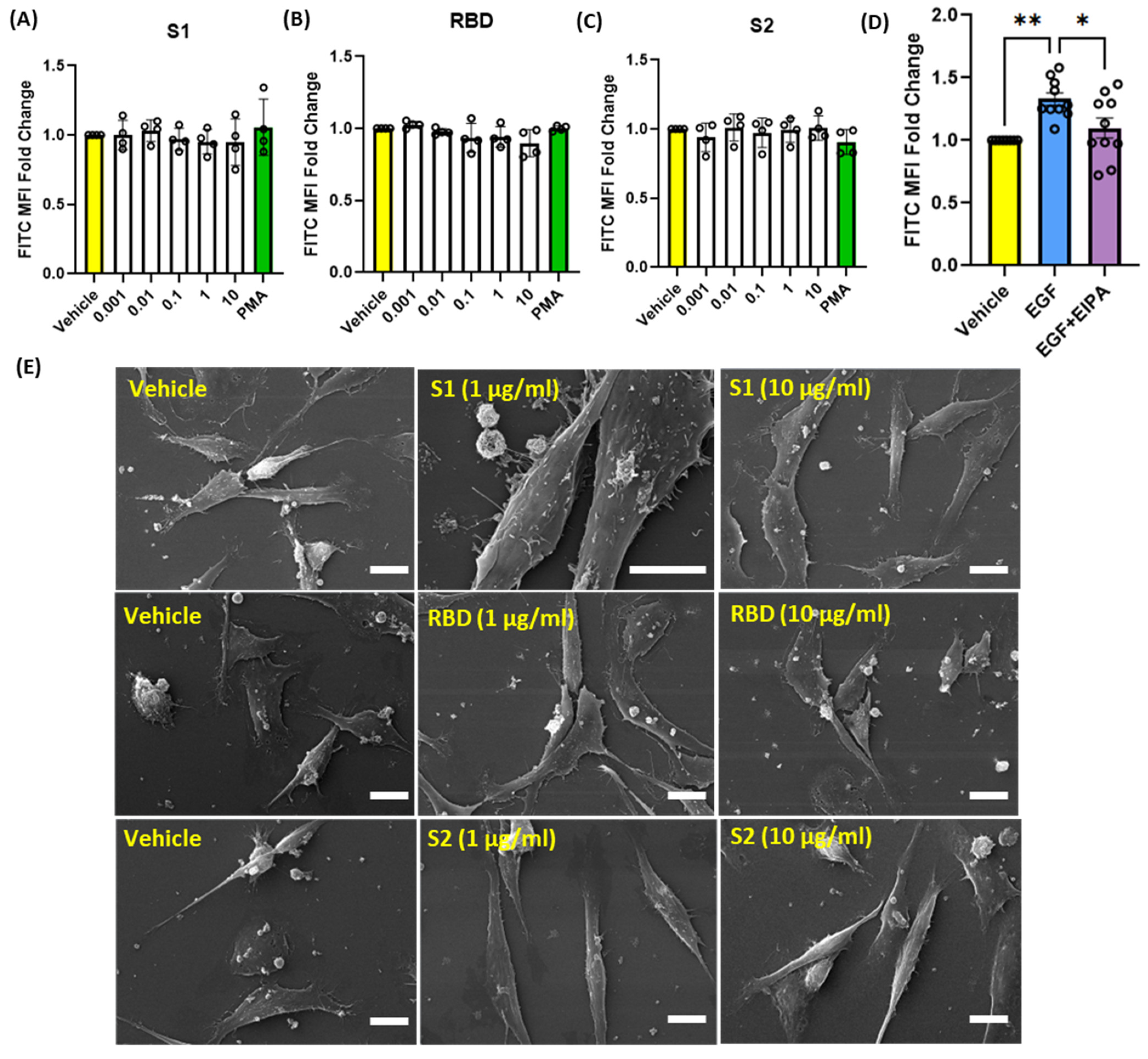 Antioxidants 13 00175 g003